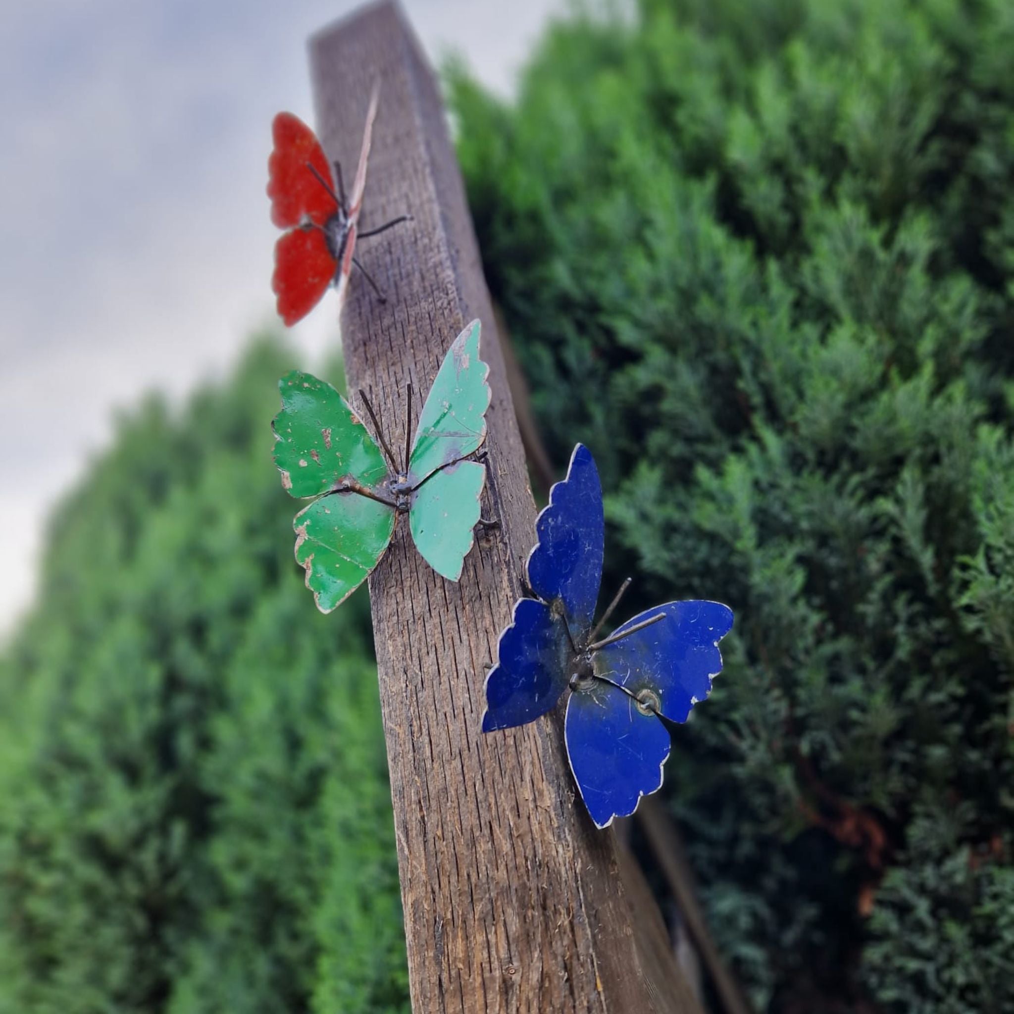 Painted Butterfly - Pangea Sculptures