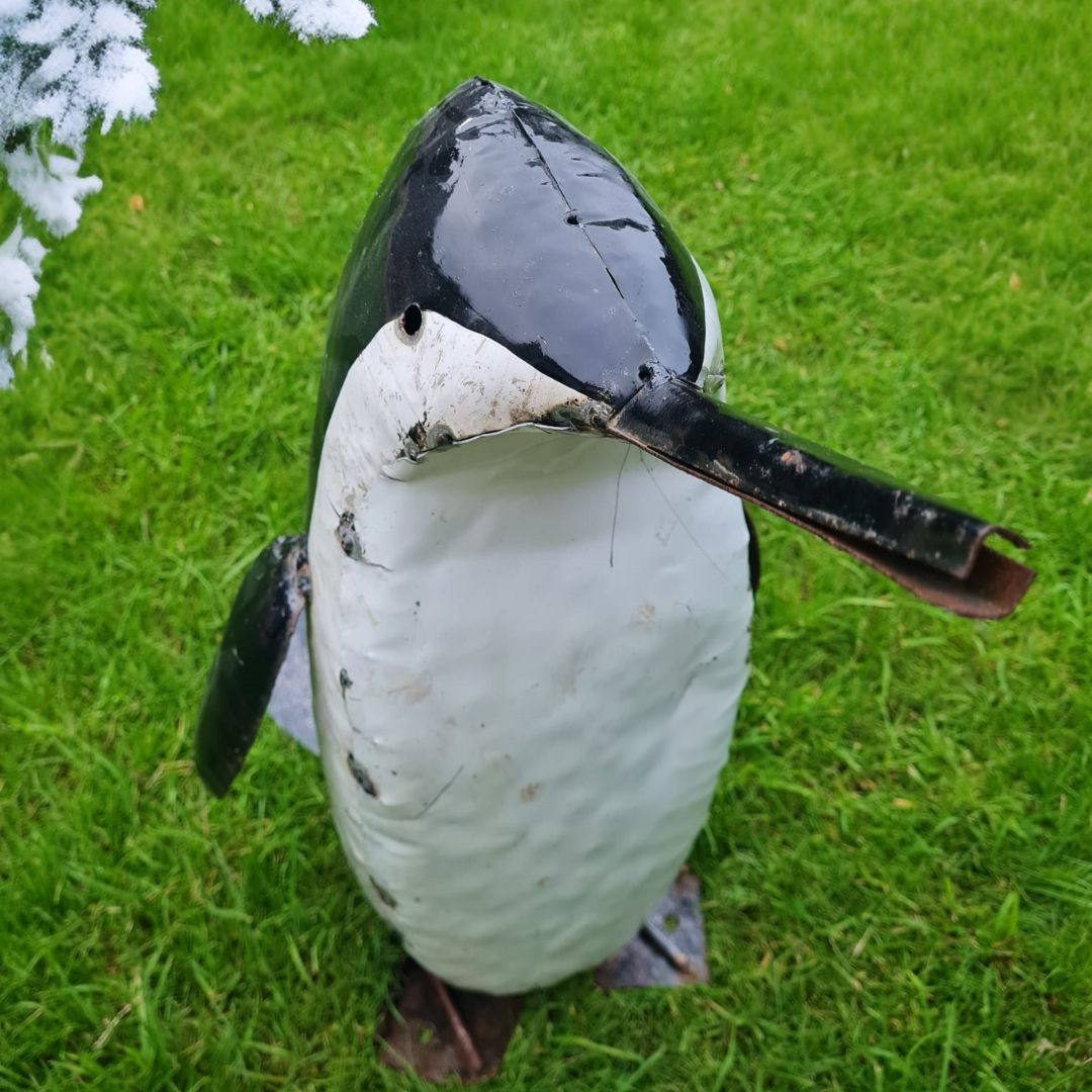 Painted Penguin - Pangea Sculptures