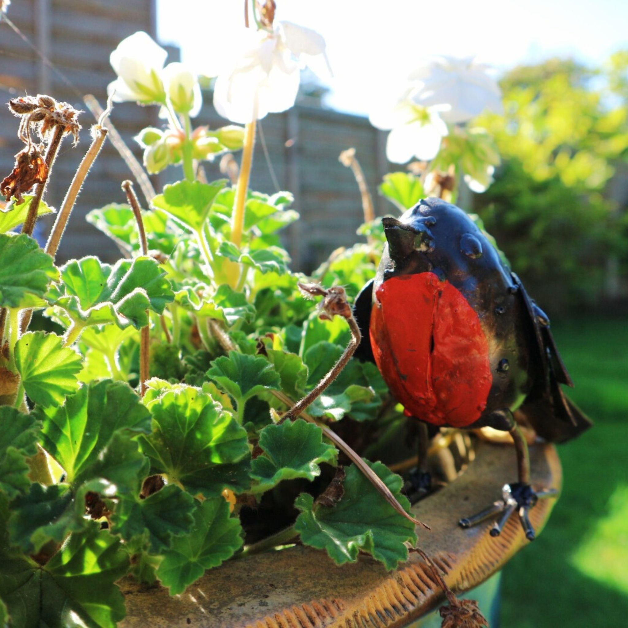Painted Robin - Pangea Sculptures