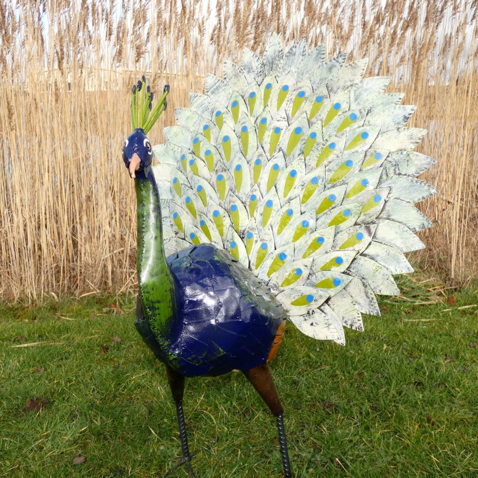 Peacock - Pangea Sculptures