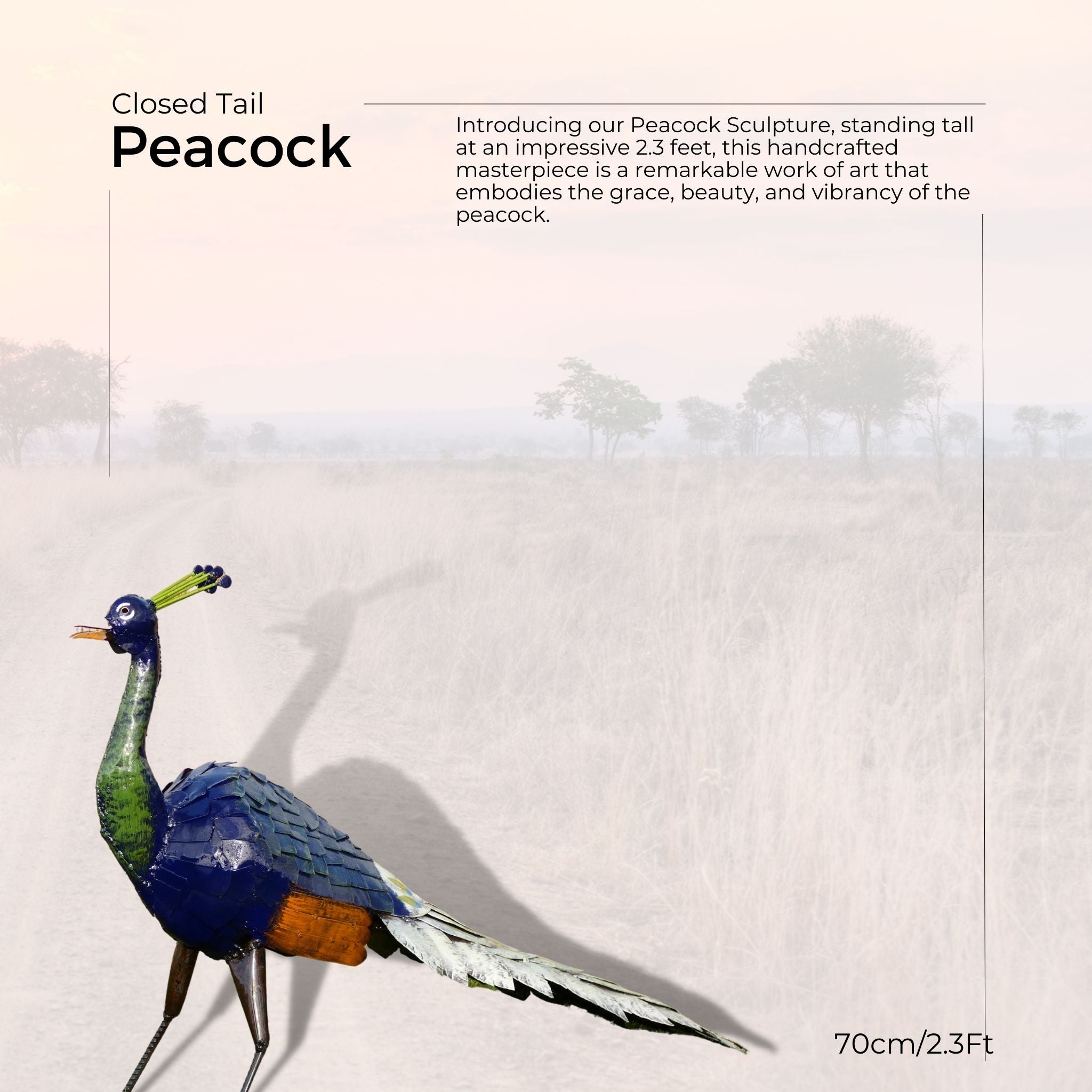 Peacock - Pangea Sculptures