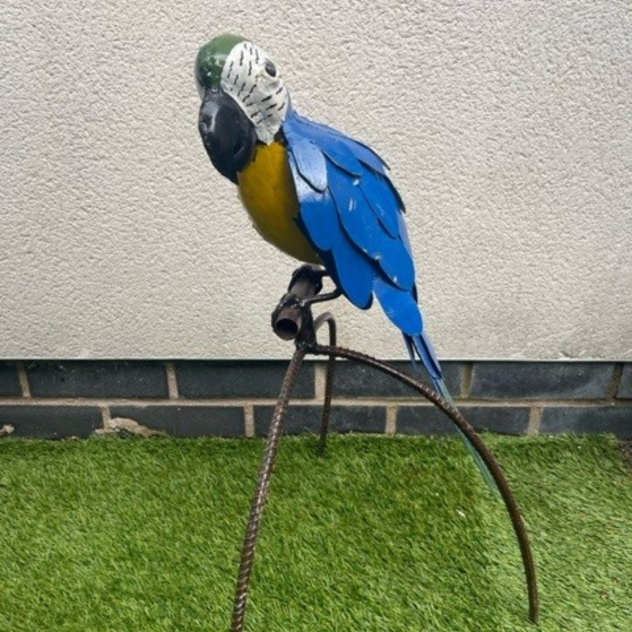 Perched Parrot - Pangea Sculptures