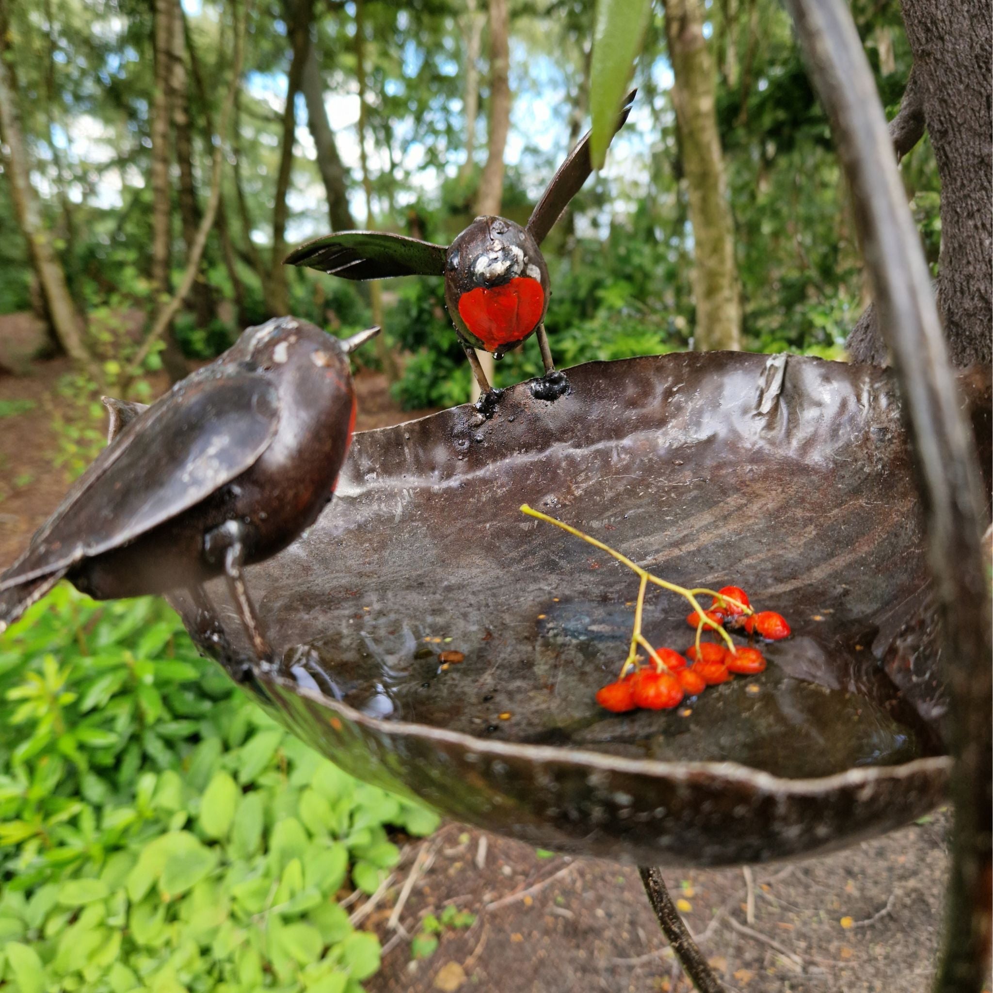 Robin Bird Bath - Pangea Sculptures