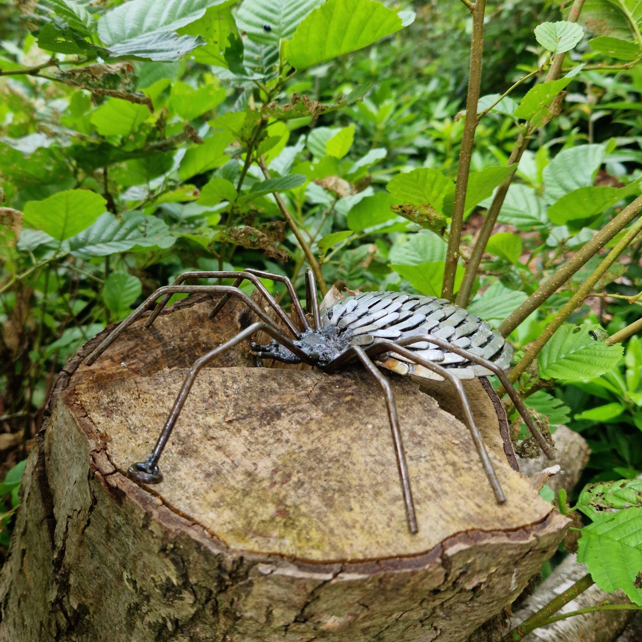 Spider - Pangea Sculptures