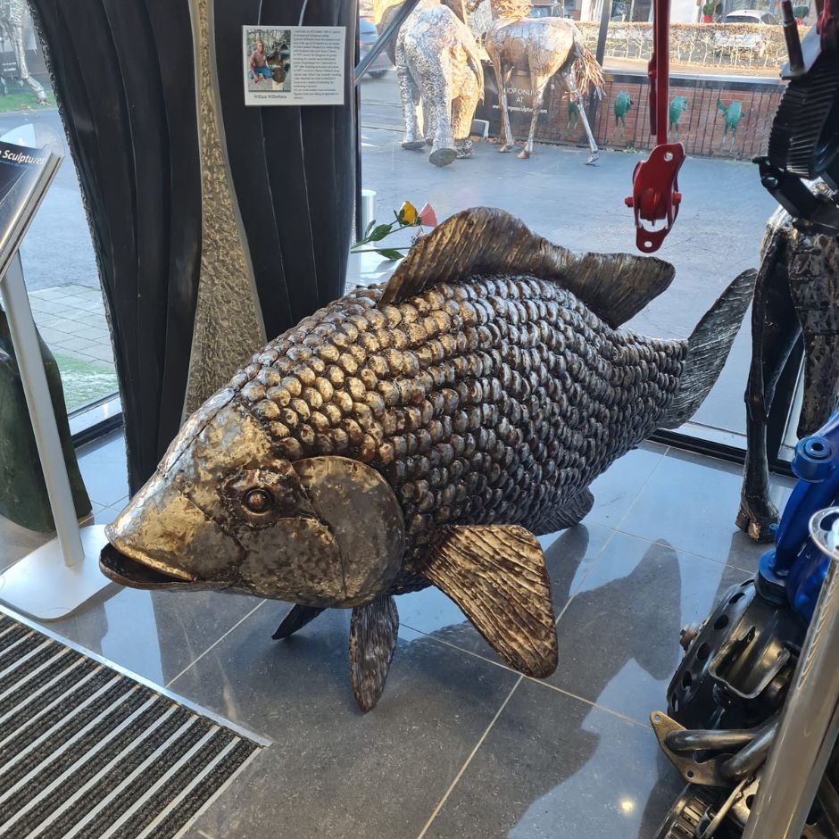 Tilapia Fish - Pangea Sculptures