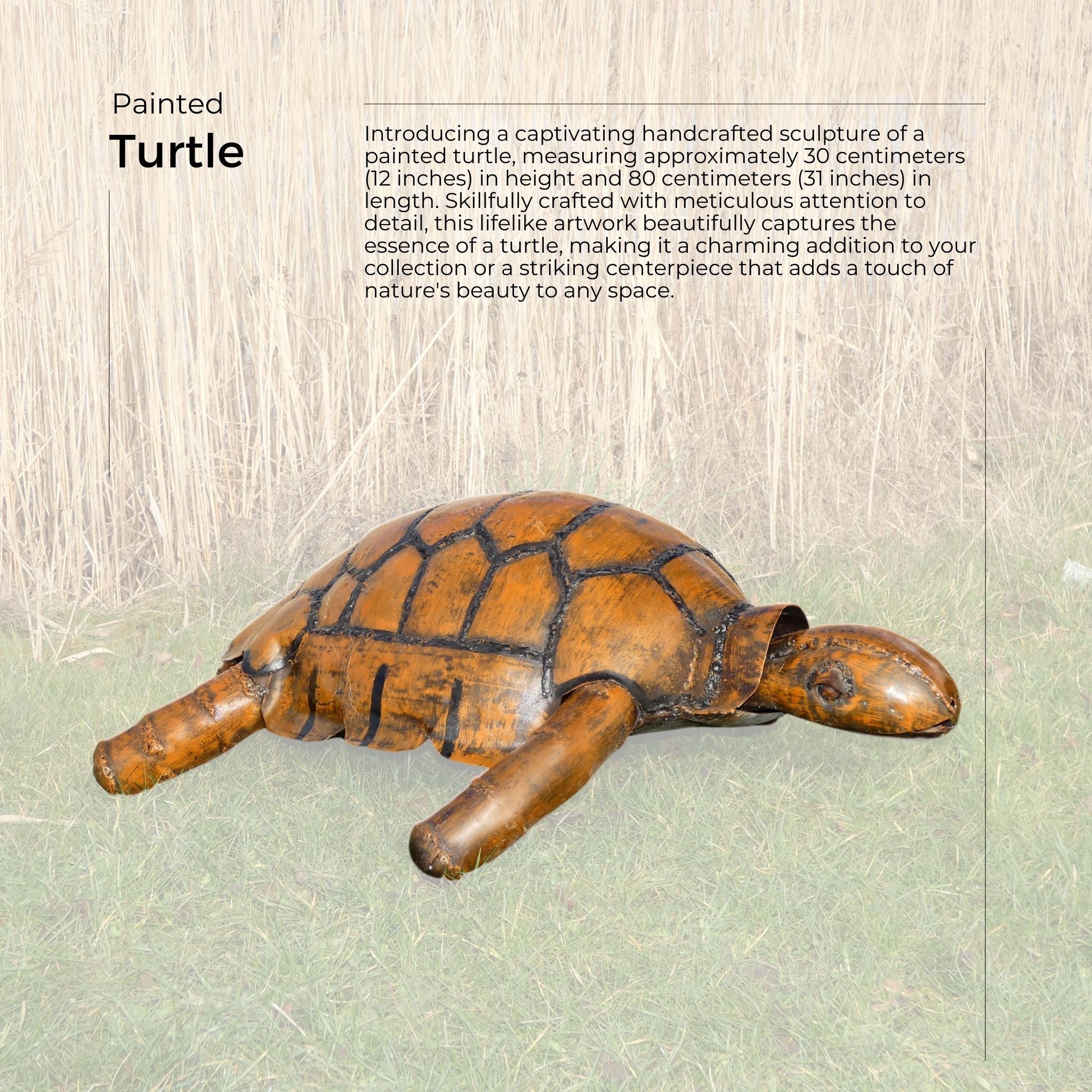 Turtle - Pangea Sculptures