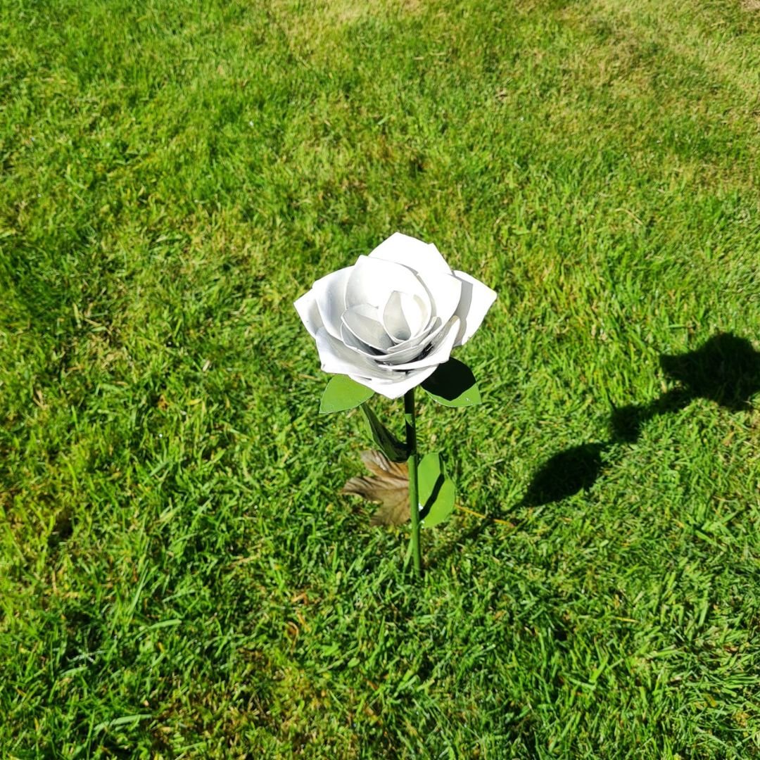 White Rose - Pangea Sculptures