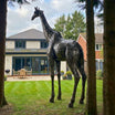 Giraffe Metal Sculpture 14ft