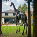 Giraffe Metal Sculpture 14ft