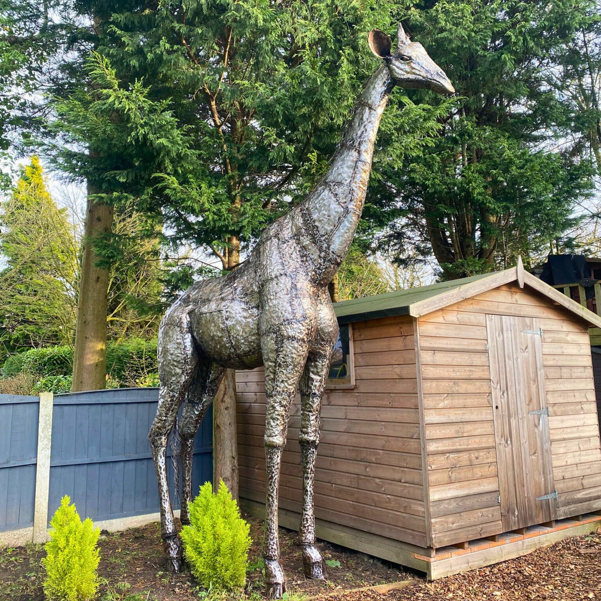 Giraffe Metal Sculpture 14ft