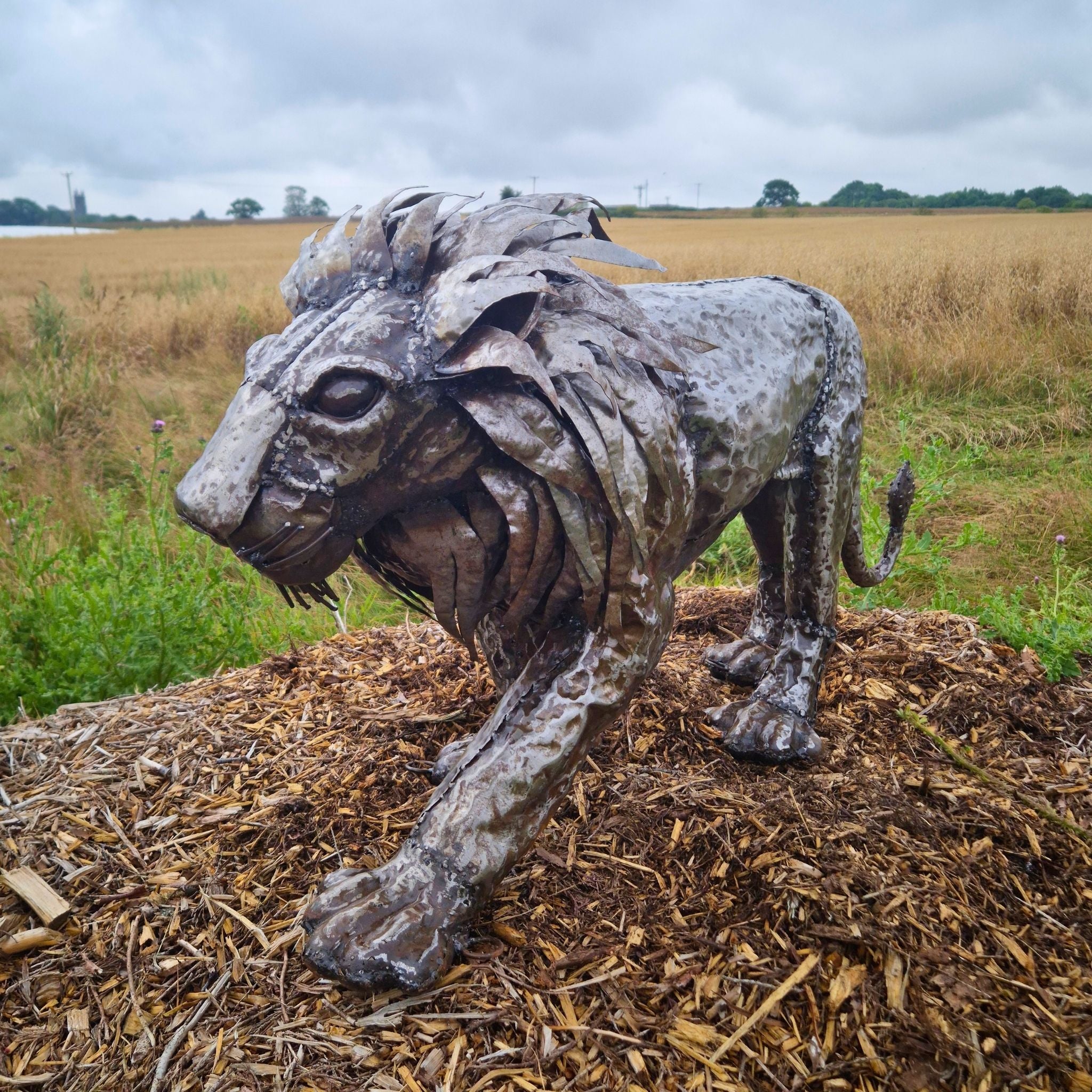 Lion Sculpture Bundle - Special Offer
