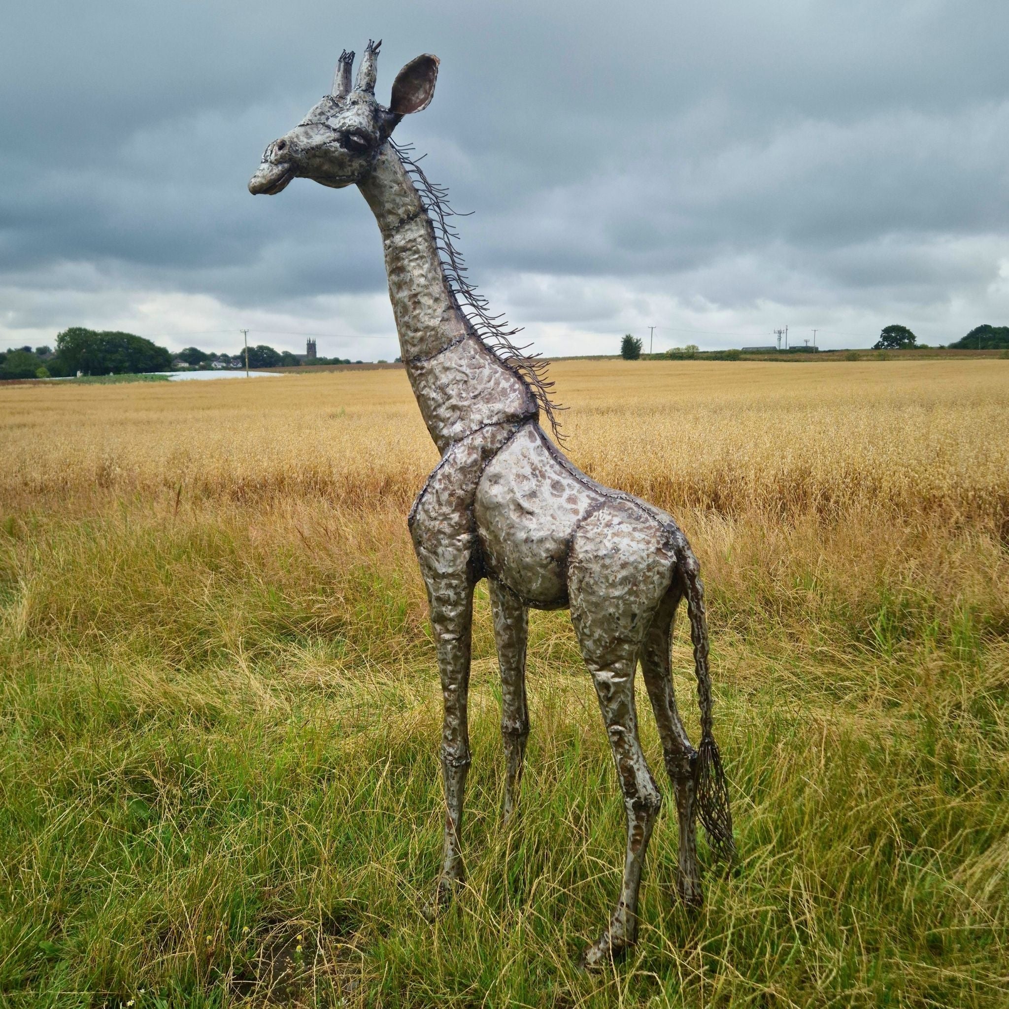 Giraffe Metal Sculpture 6ft - Looking Left