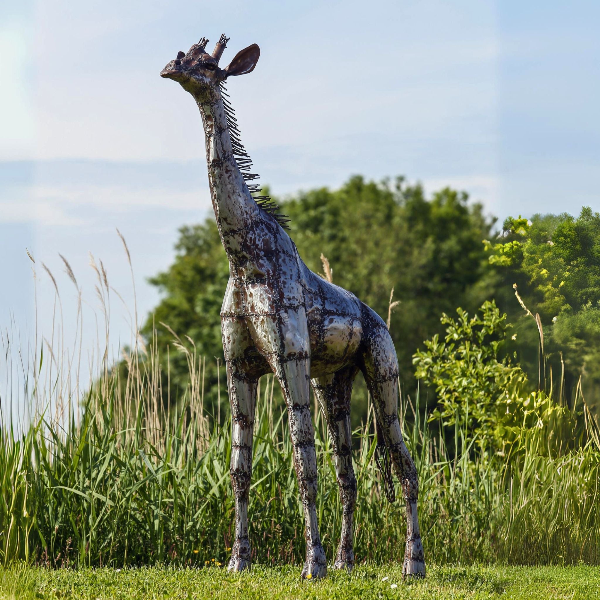 Giraffe Metal Sculpture 6ft