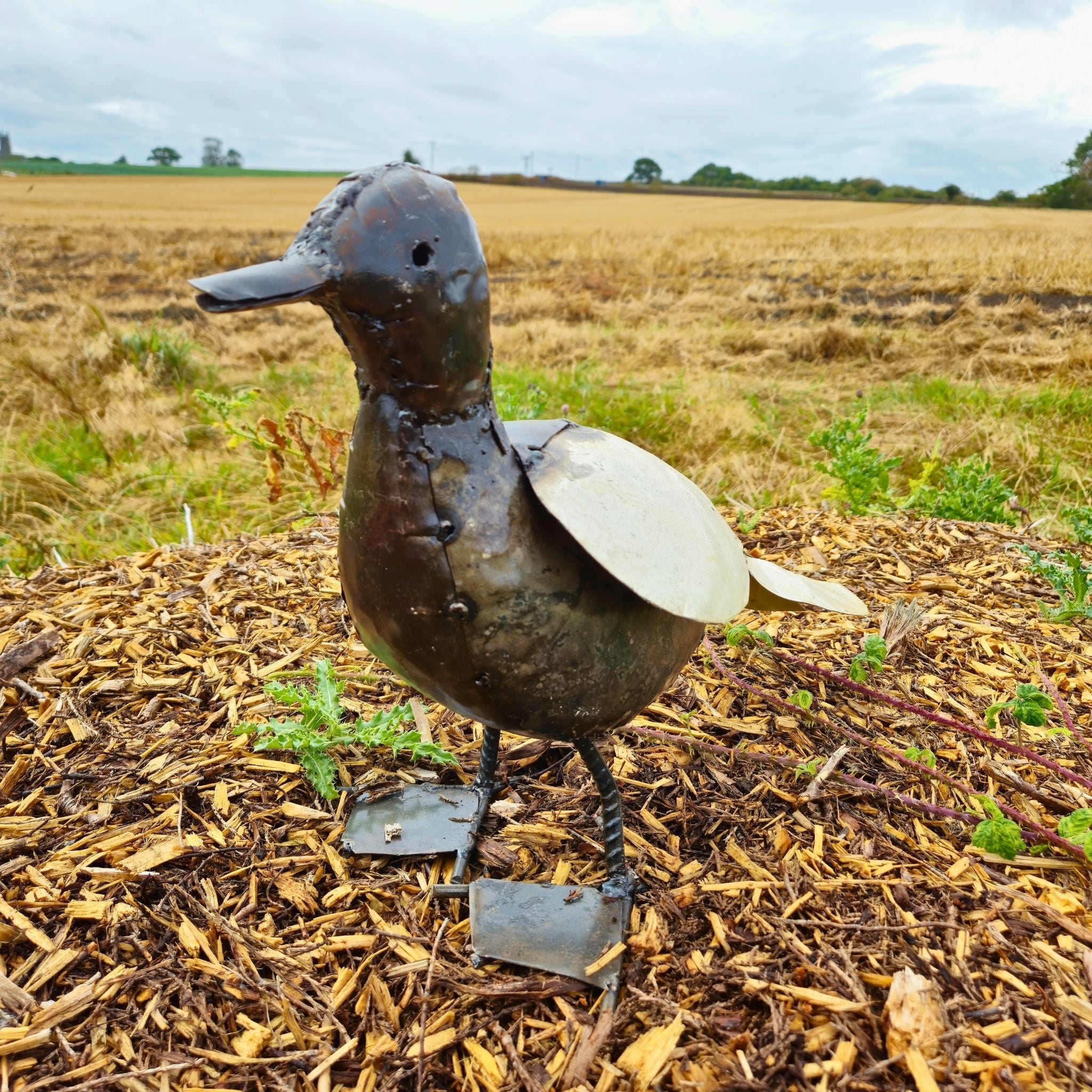 Duck Metal Sculpture