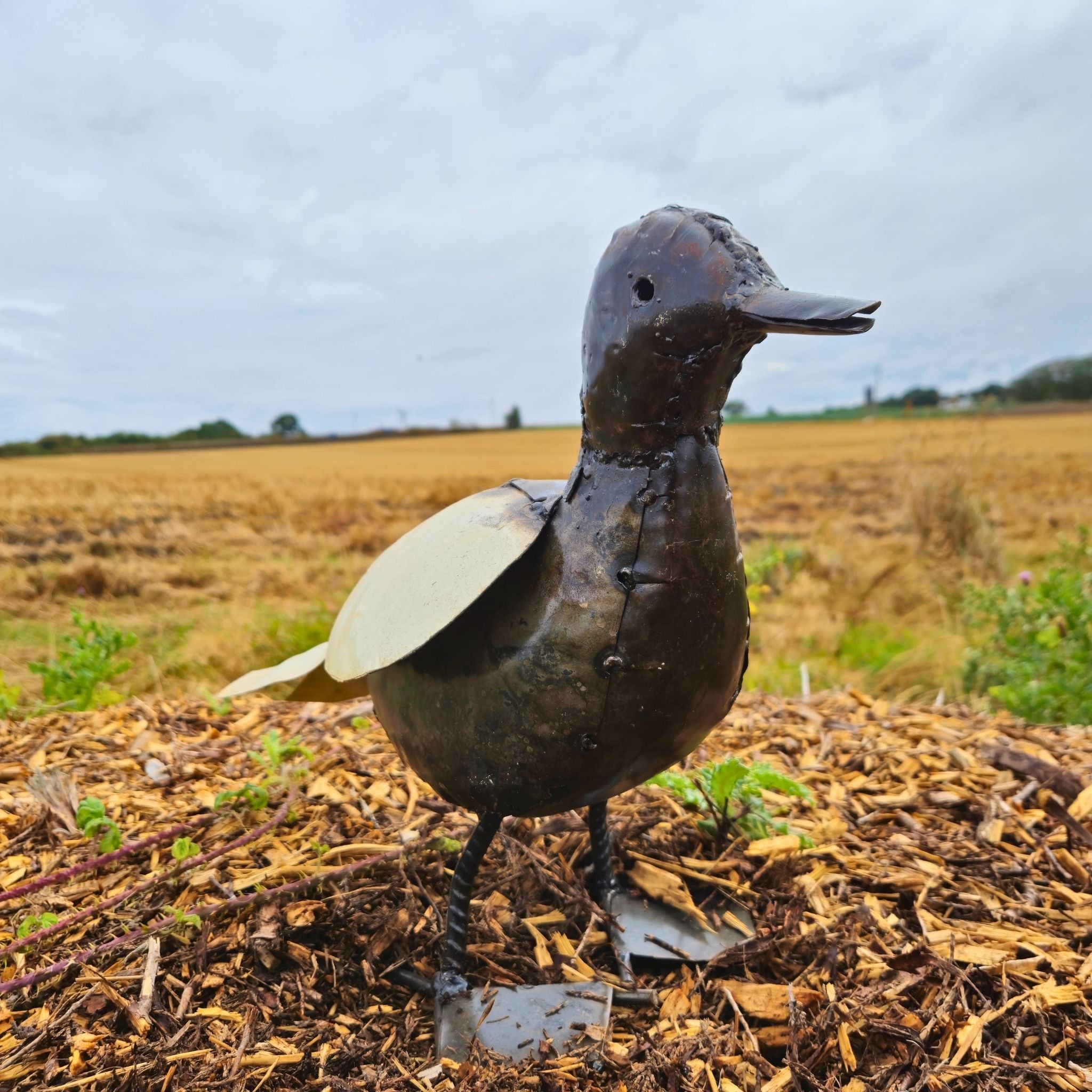 Duck Metal Sculpture