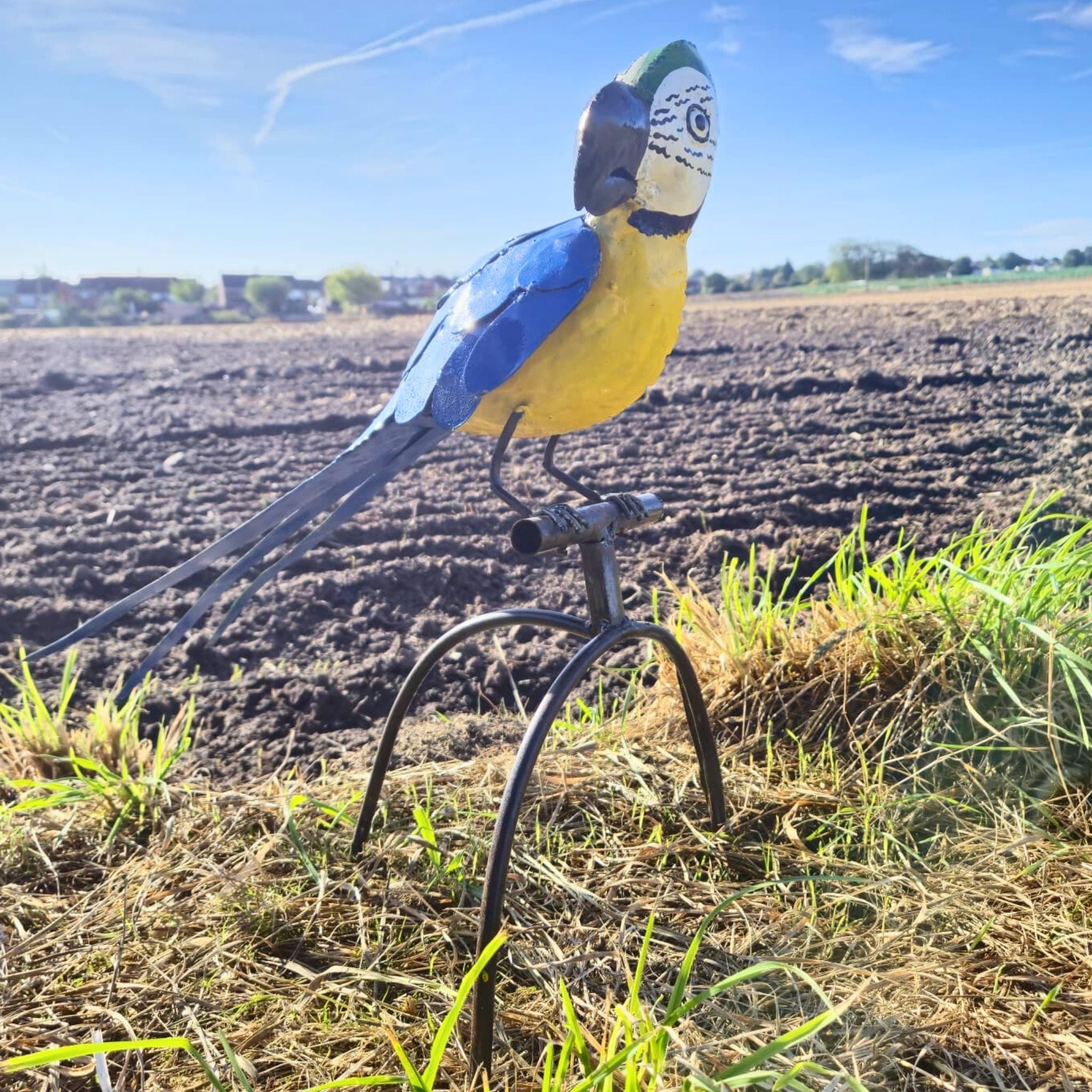 Perched Parrot Metal Sculptures