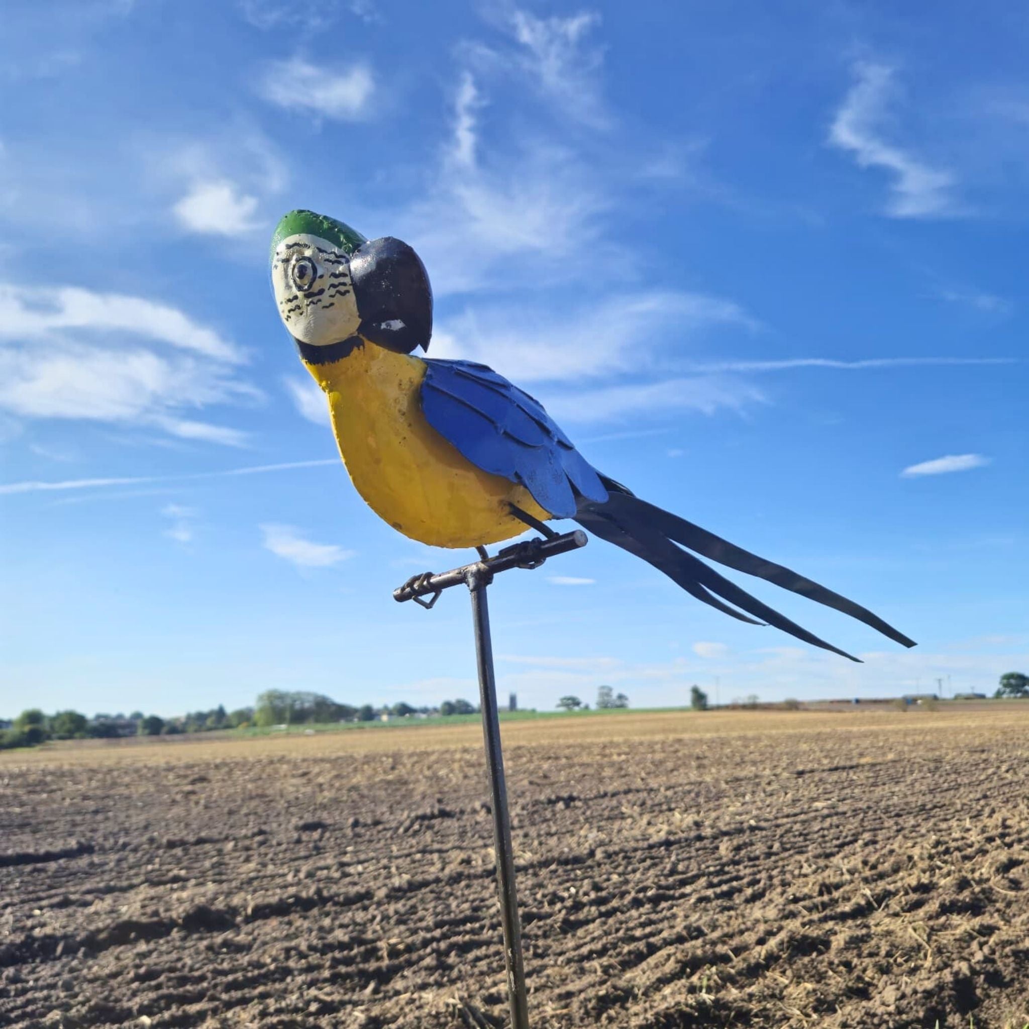 Perched Parrot Metal Sculptures
