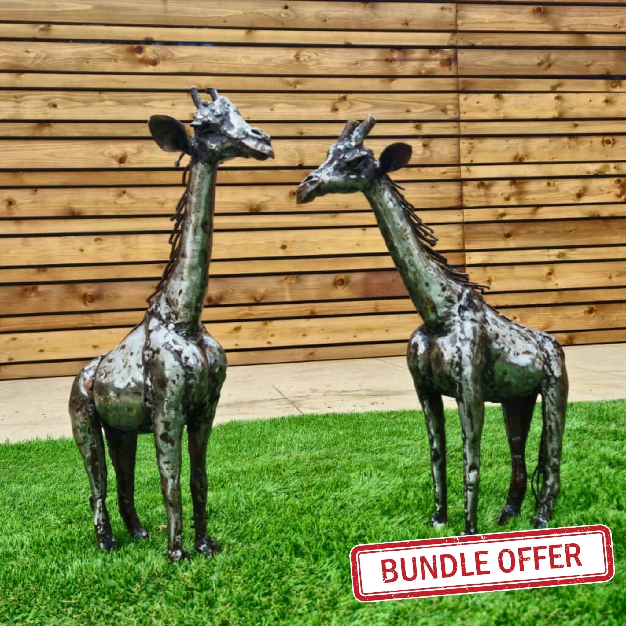1ft Giraffe Bundle