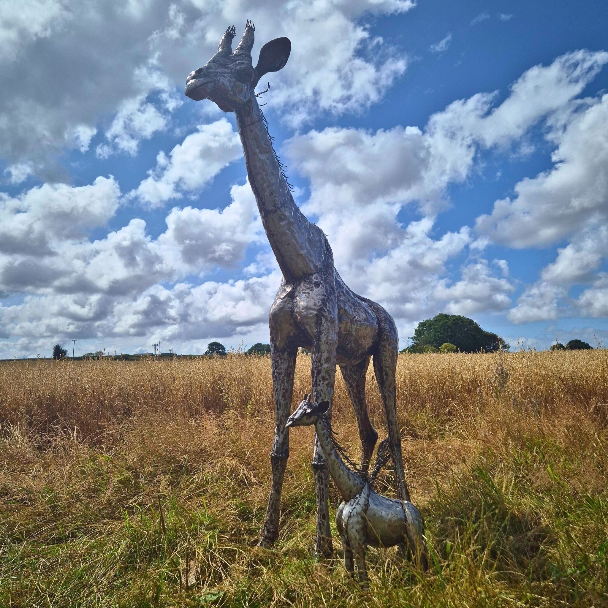 Giraffe Sculpture Bundle - Special Offer