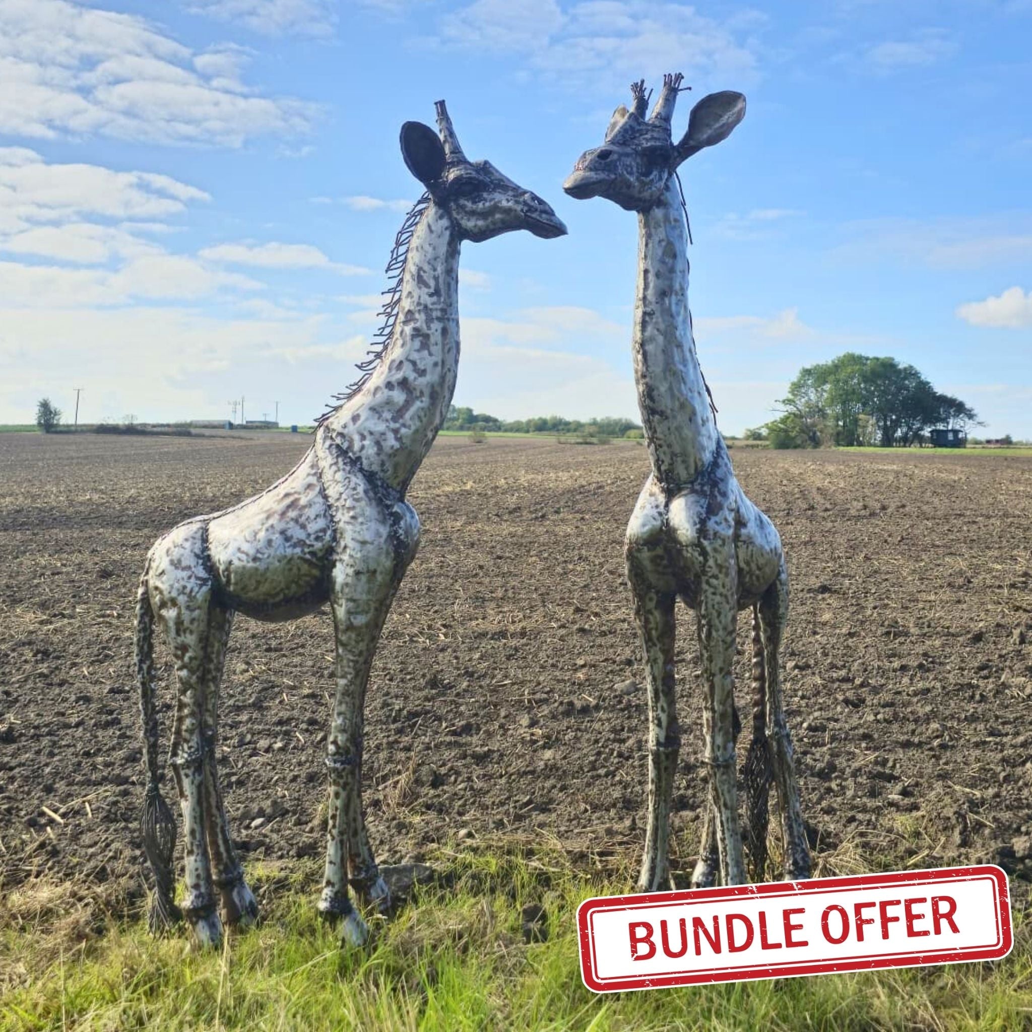 4ft Giraffe Bundle