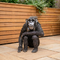 Low Resting Chimpanzee Sculpture