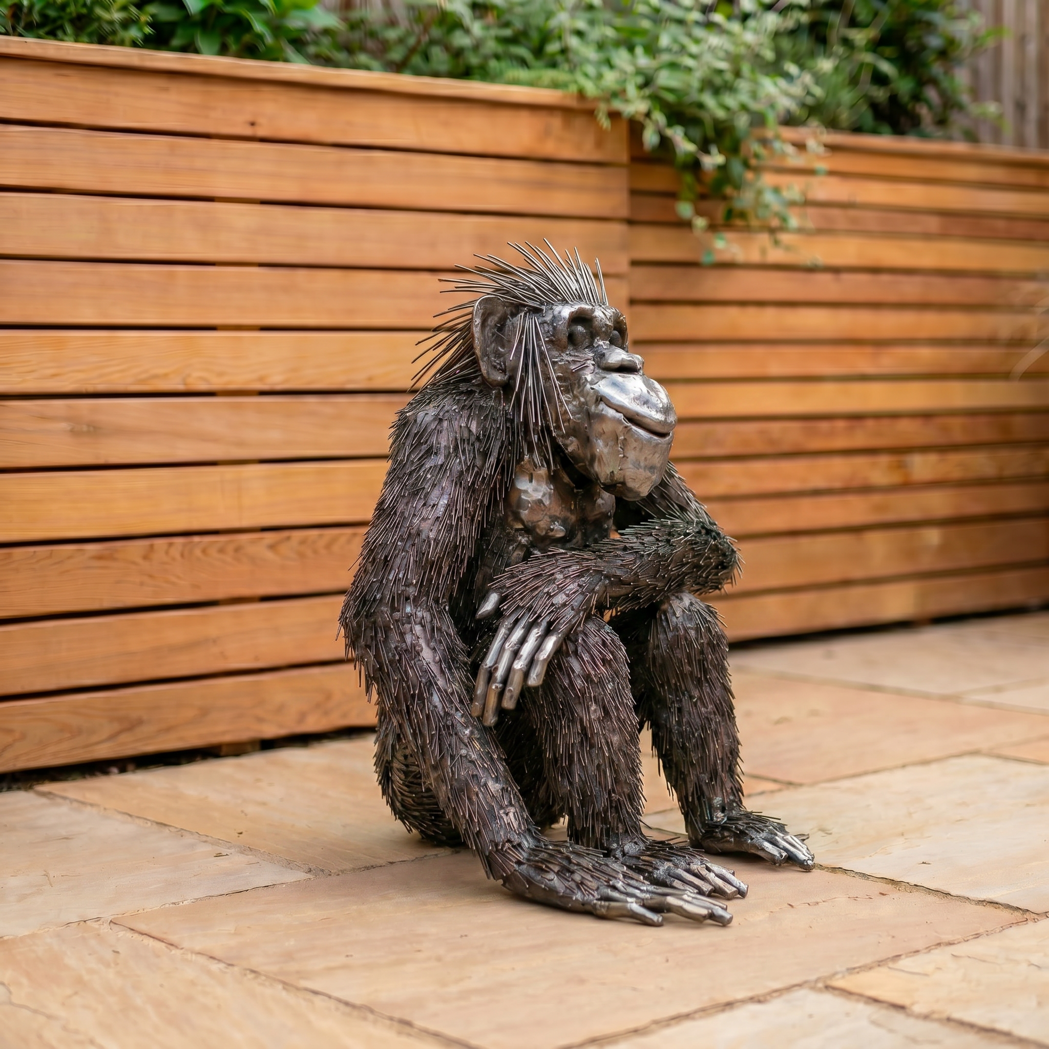 Low Resting Chimpanzee Sculpture