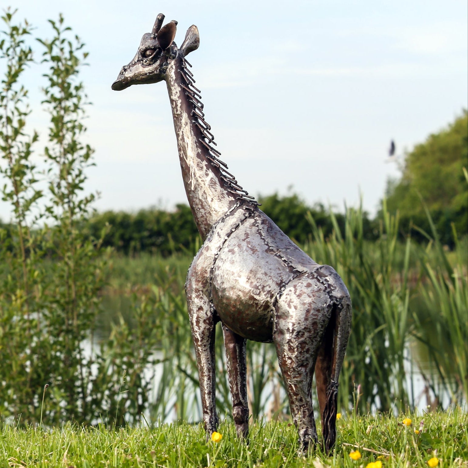Giraffe Metal Sculpture 2.5ft