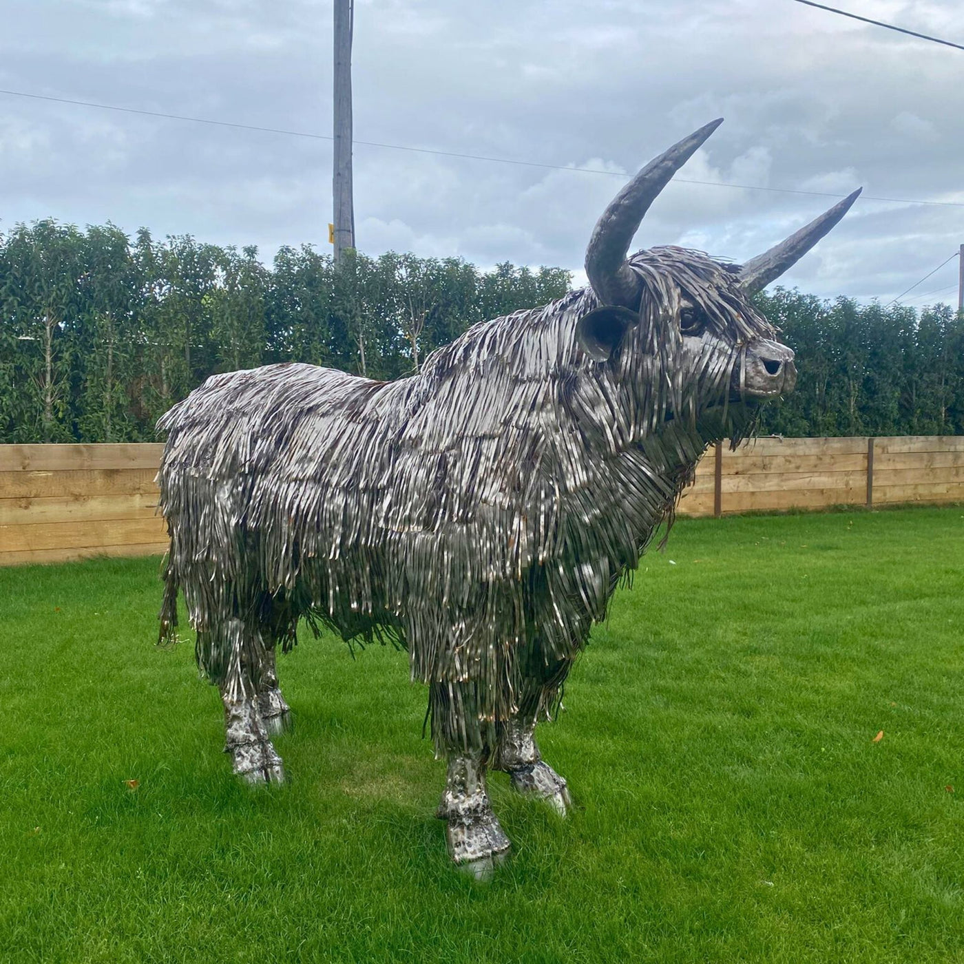 Highland Cow Metal Sculpture