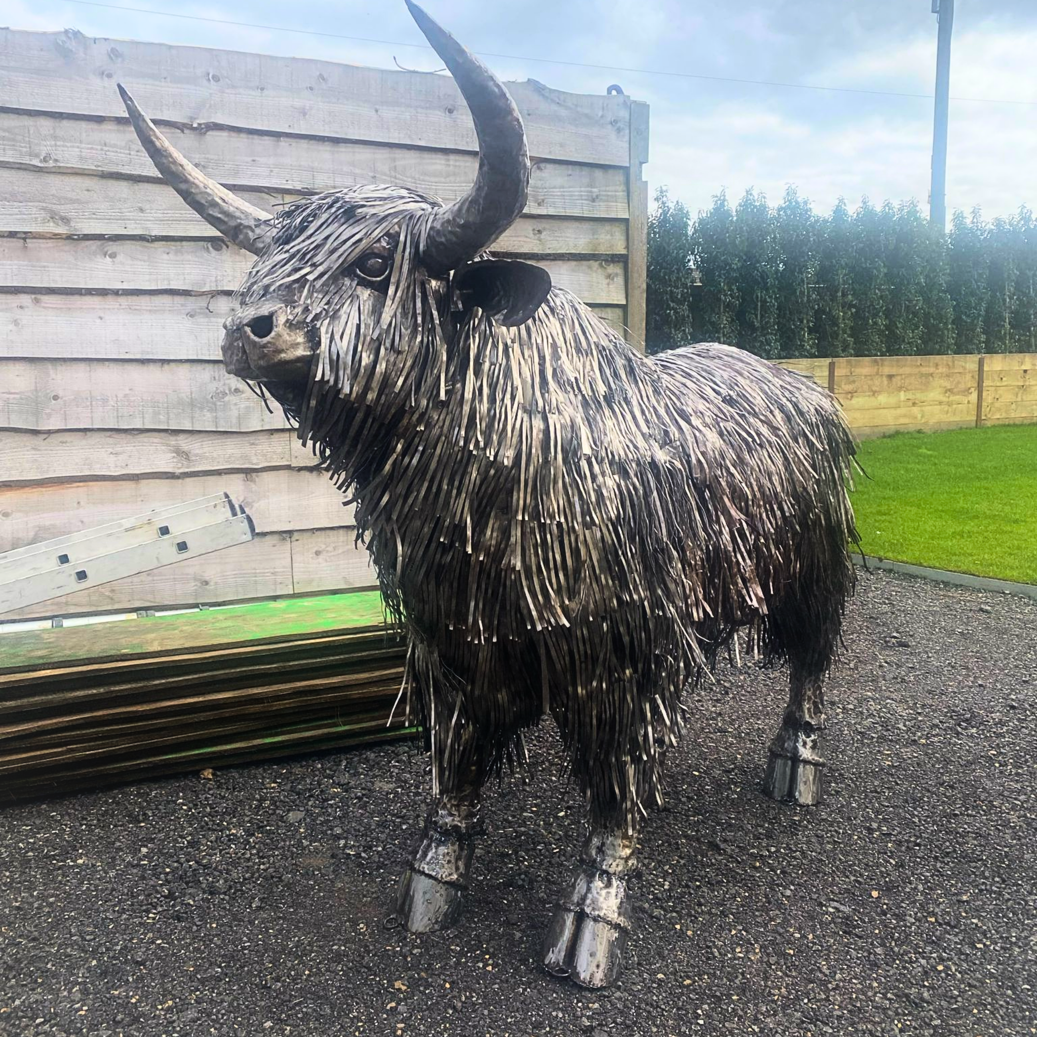 Highland Cow Metal Sculptures
