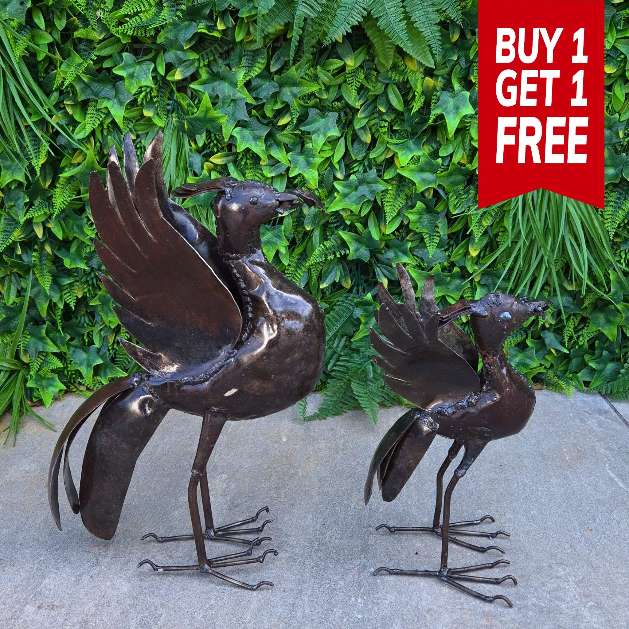 Medium Liver Bird - BOGOF