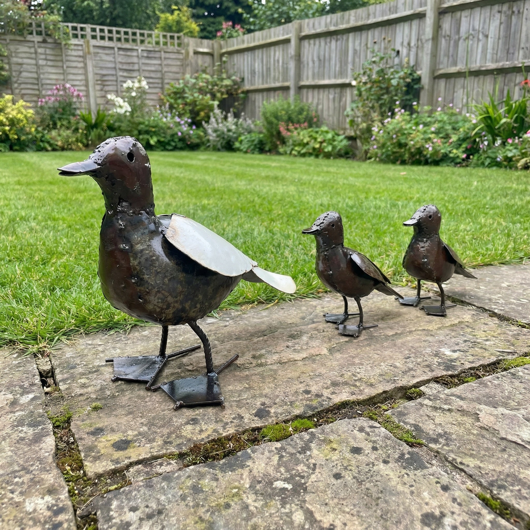 Duck and Ducklings Sets