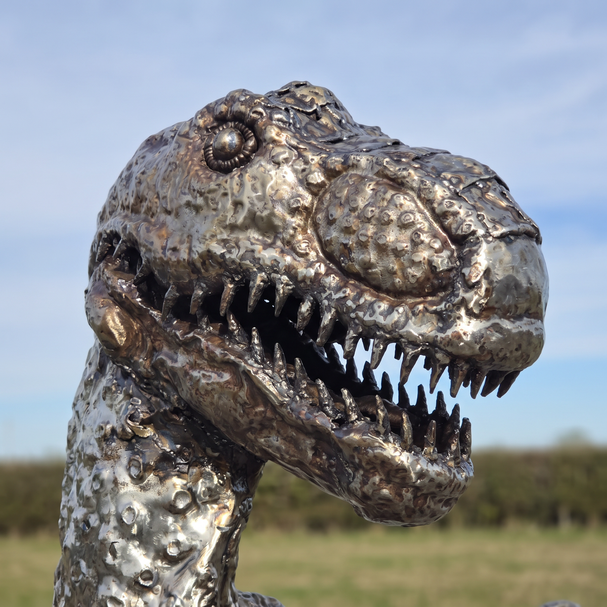 Close-up of the handcrafted head and welded detail on the metal Raptor sculpture