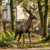 Adult Stag Metal Sculpture