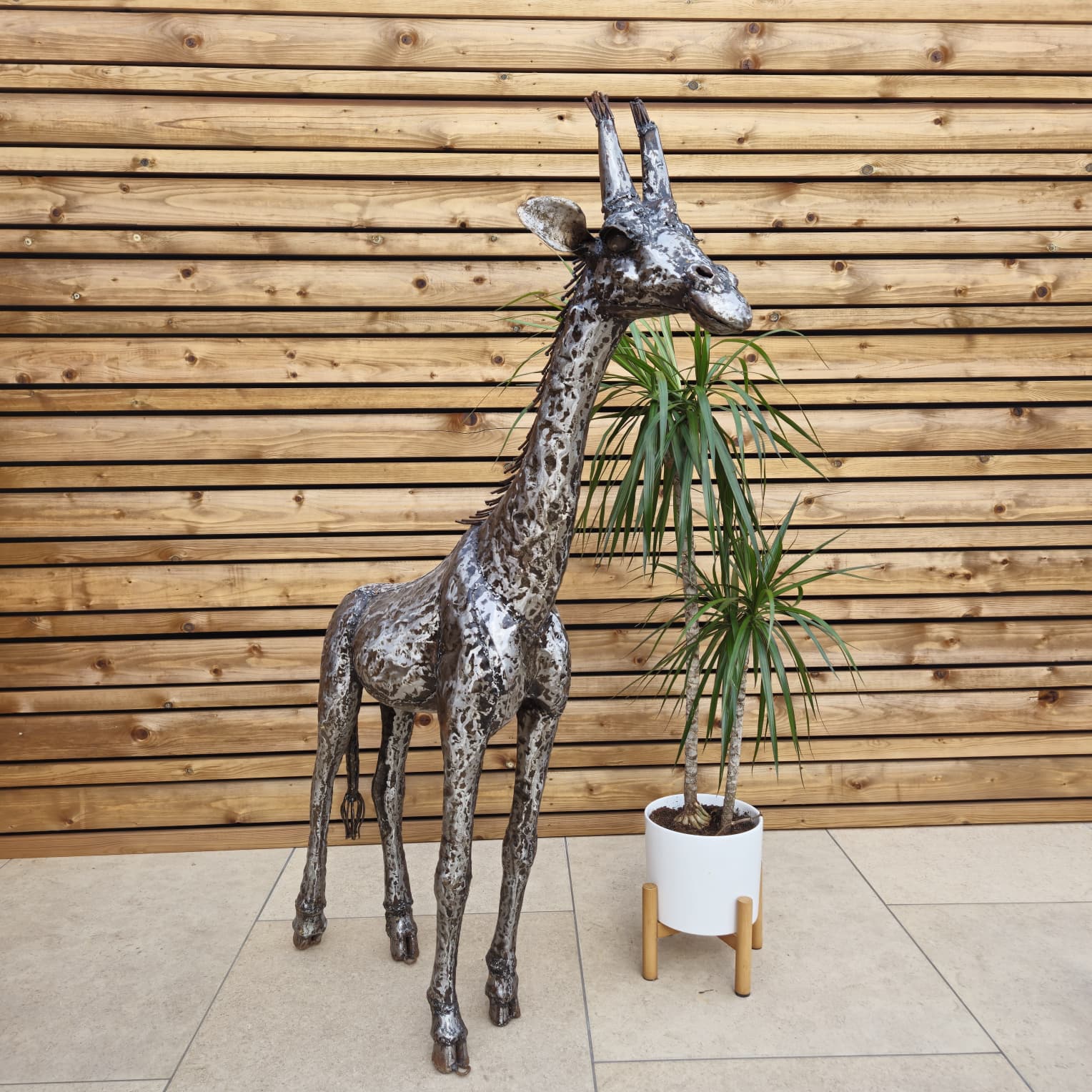 Giraffe Sculpture Bundle - Special Offer