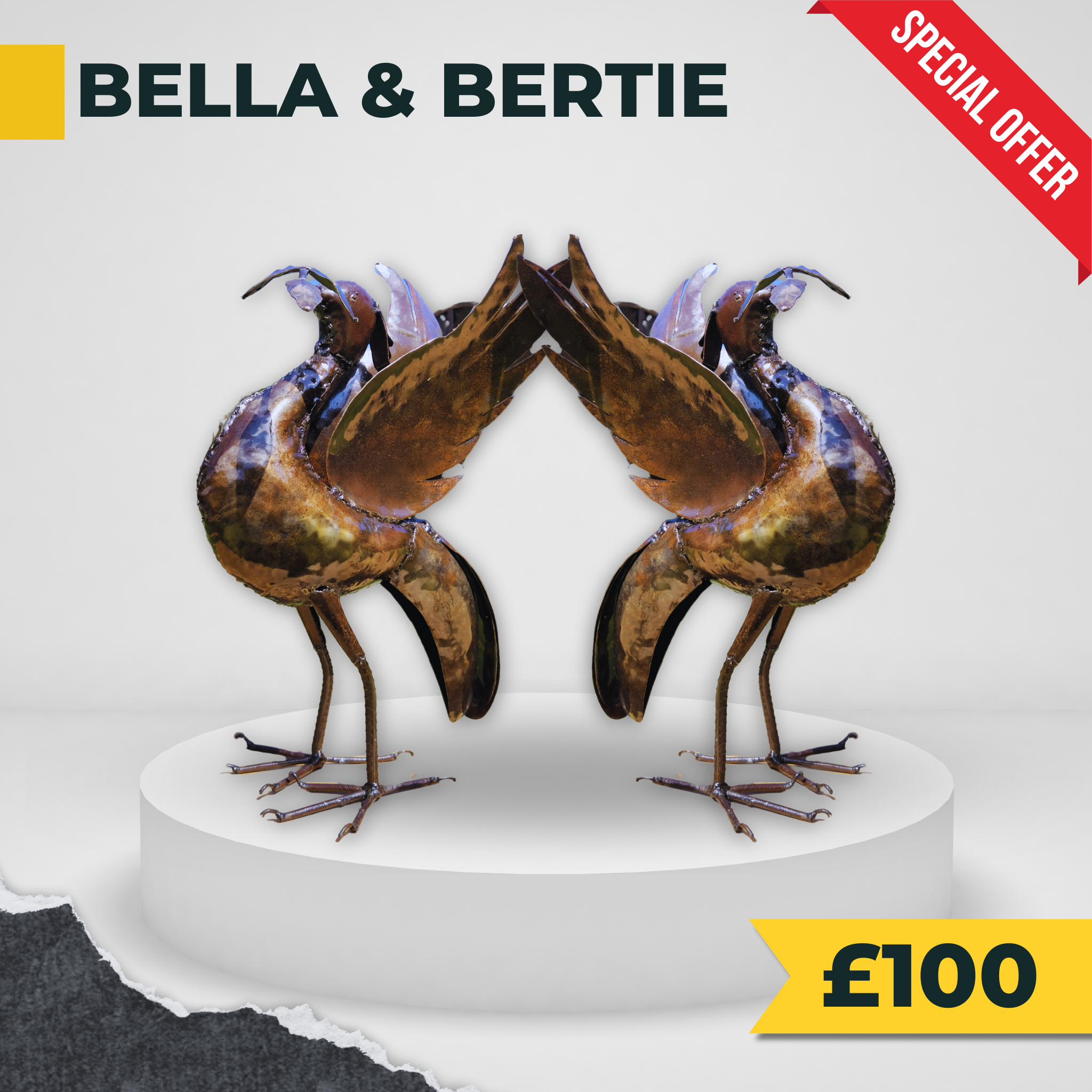 Special Edition Liverbird - Special Offer