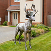 Adult Stag Metal Sculpture