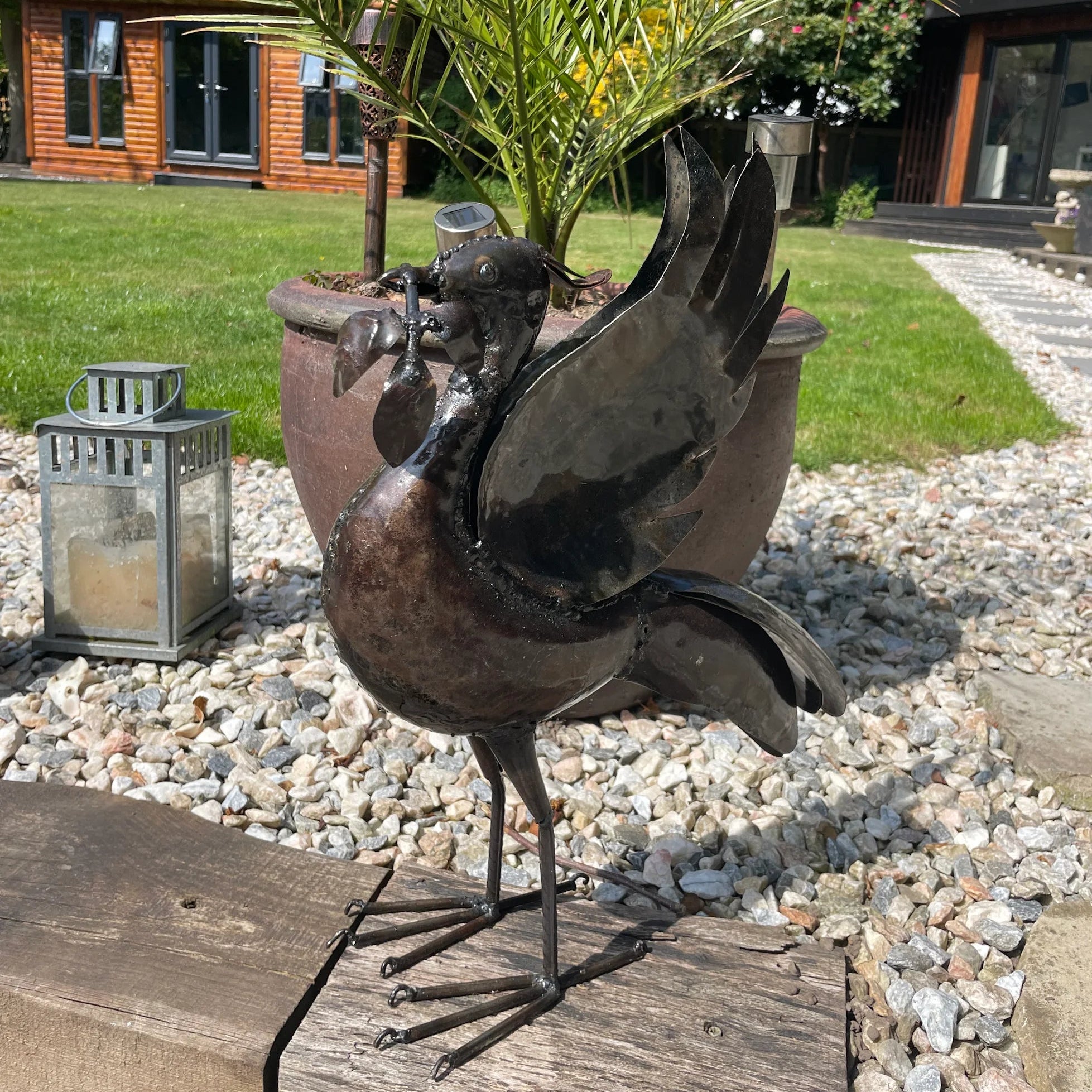 Pangea Liver bird - Medium