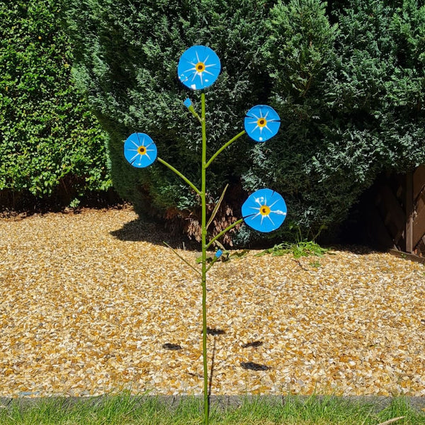 forget-me-not-998436_grande.
