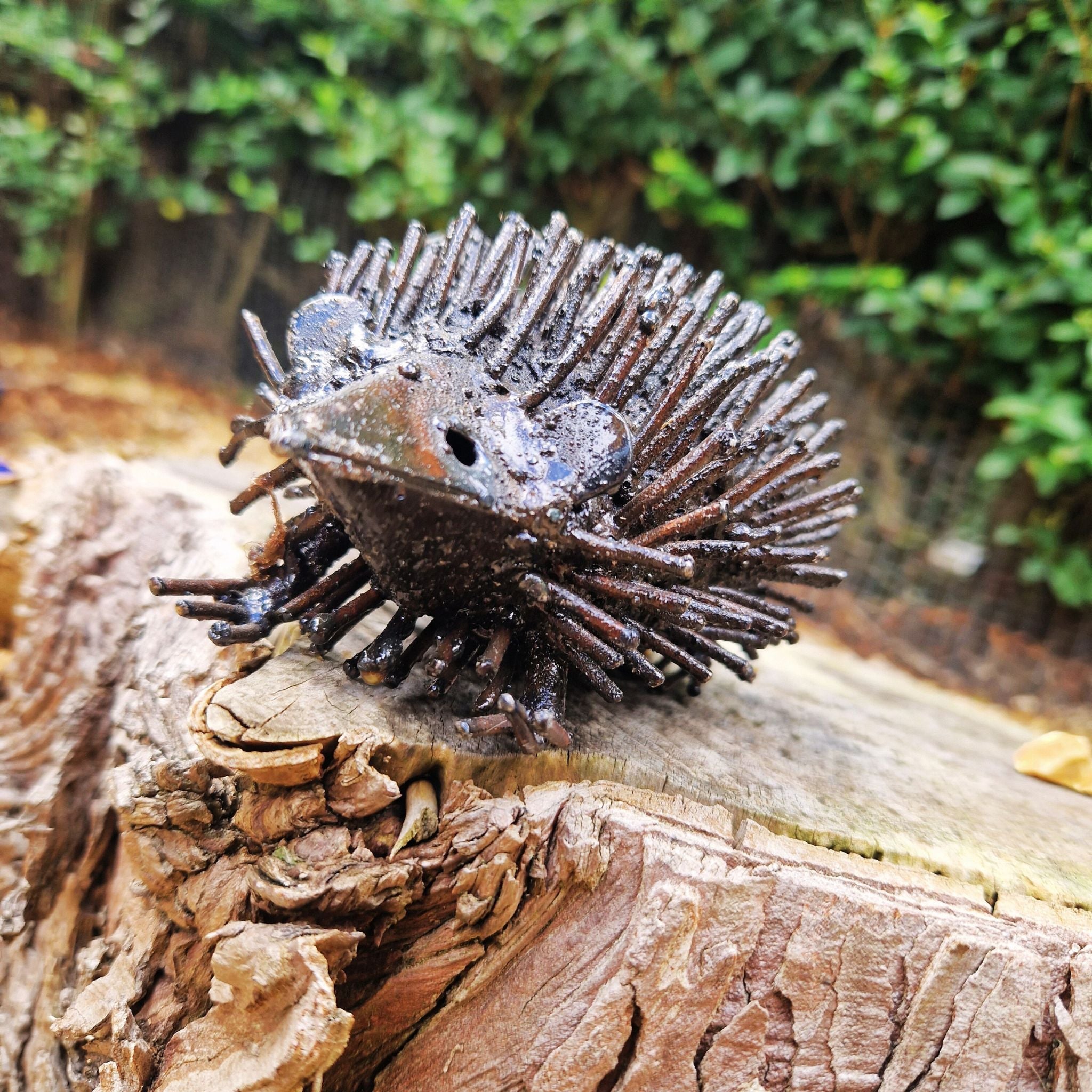 Hedgehog - Pangea Sculptures