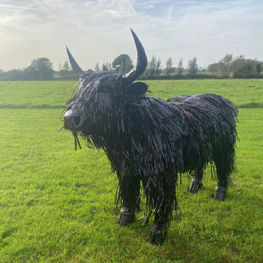 Highland Cow | Lifesize - Pangea Sculptures