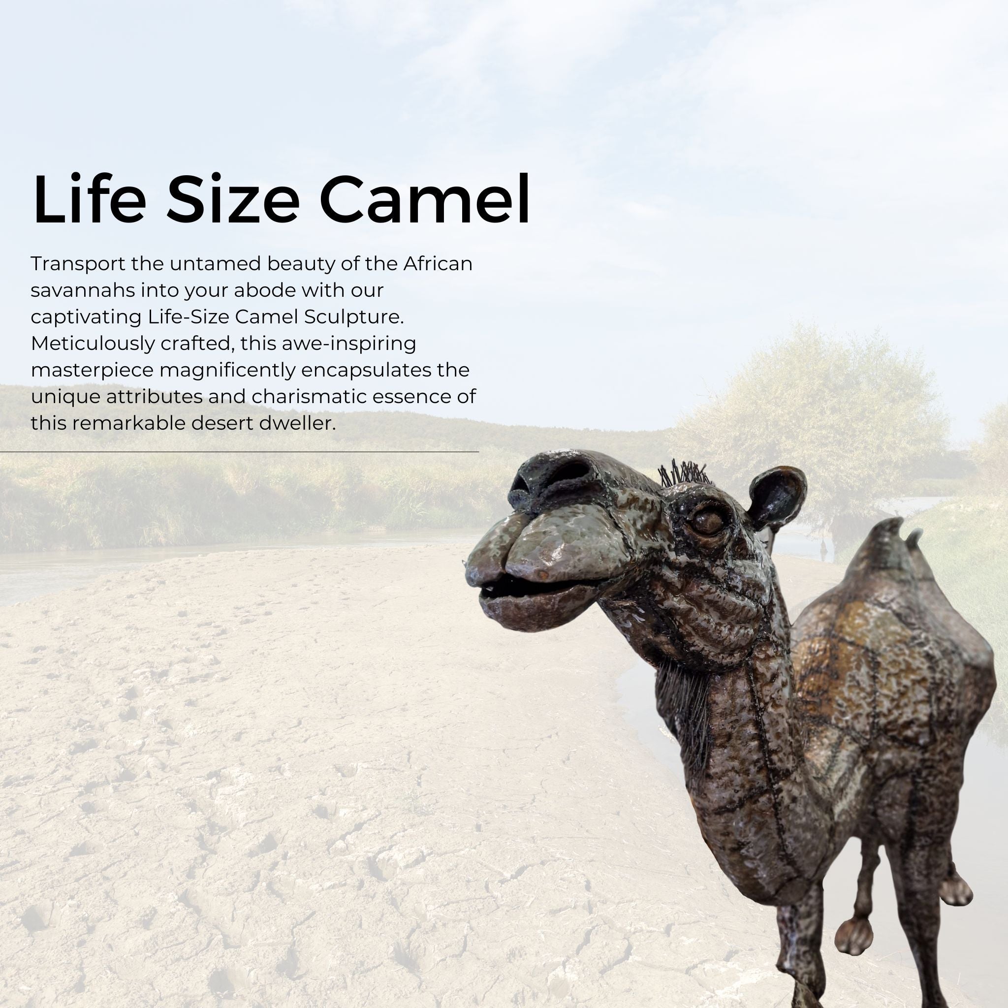 Life Size Camel - Pangea Sculptures