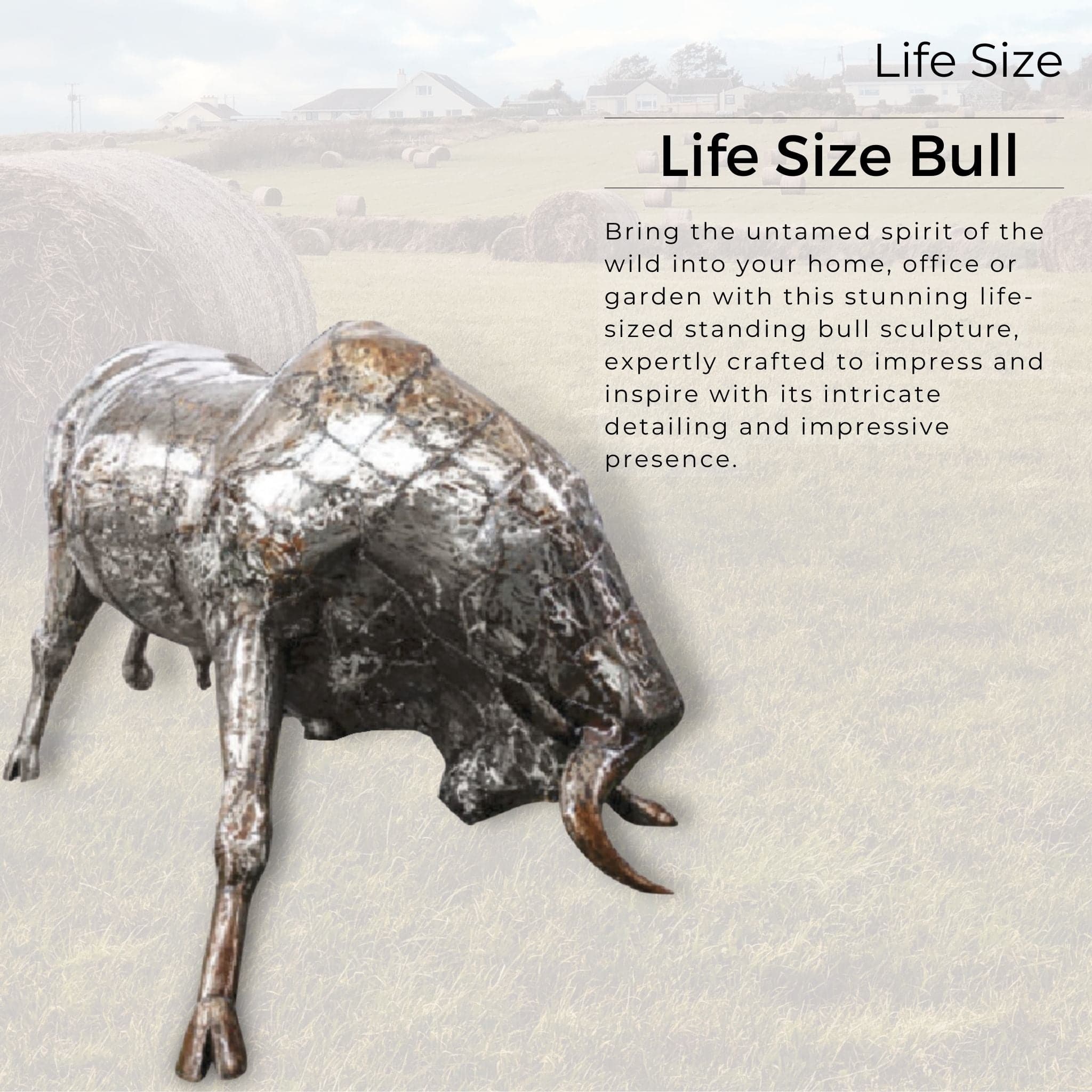 Life Size Natural Bull - Pangea Sculptures
