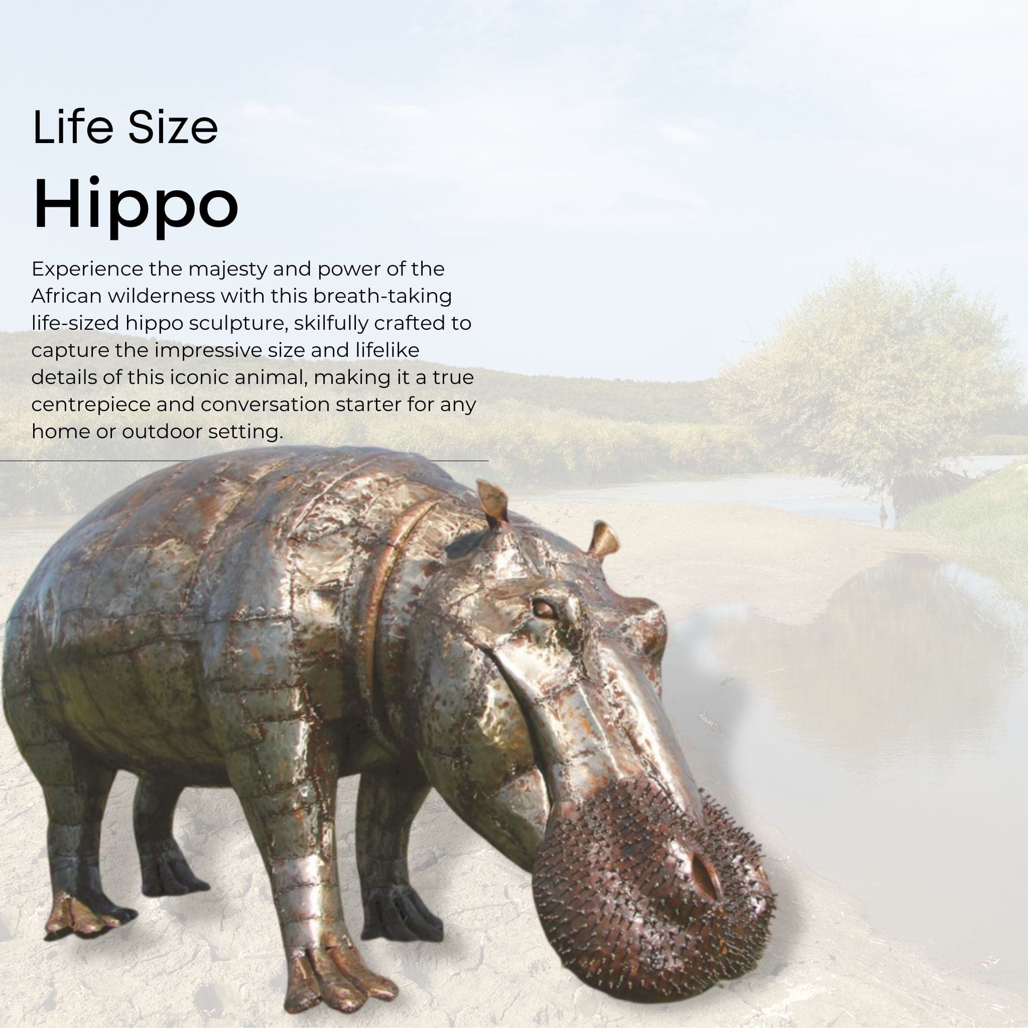 Life Size Natural Hippo - Pangea Sculptures