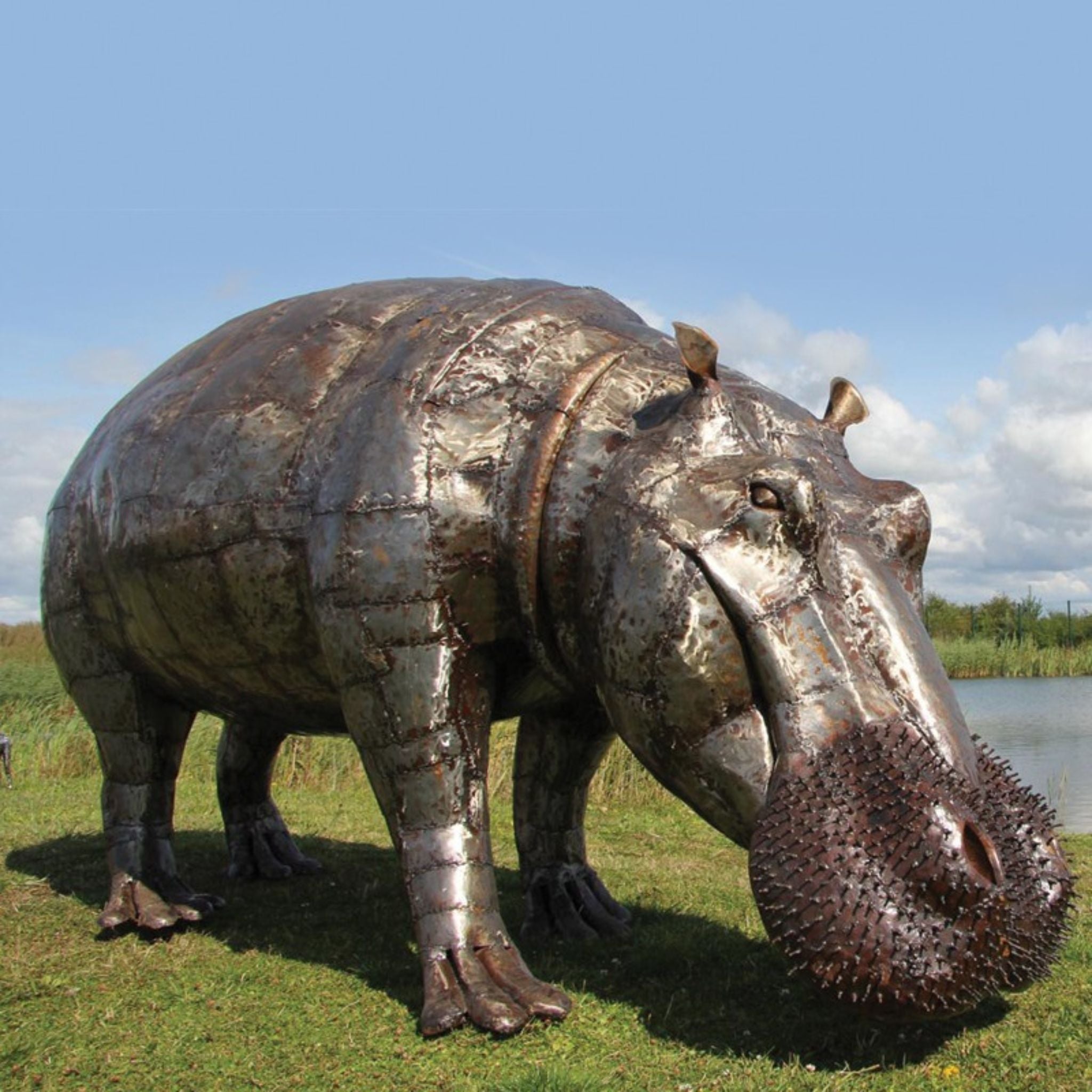 Life Size Natural Hippo - Pangea Sculptures