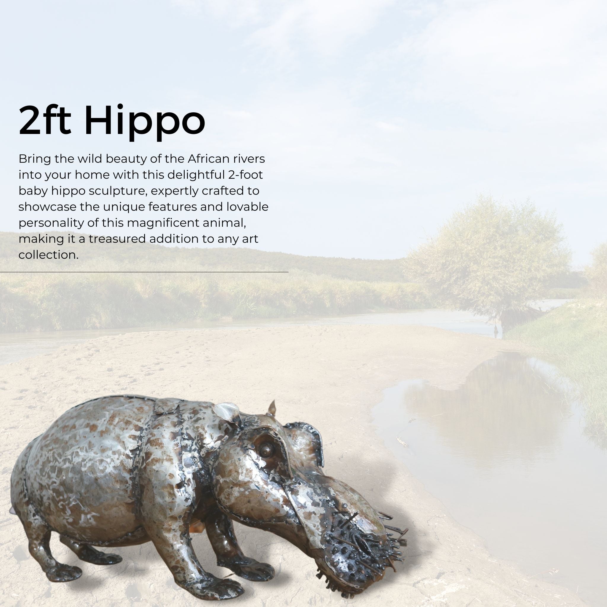 Natural 2ft Hippo - Pangea Sculptures
