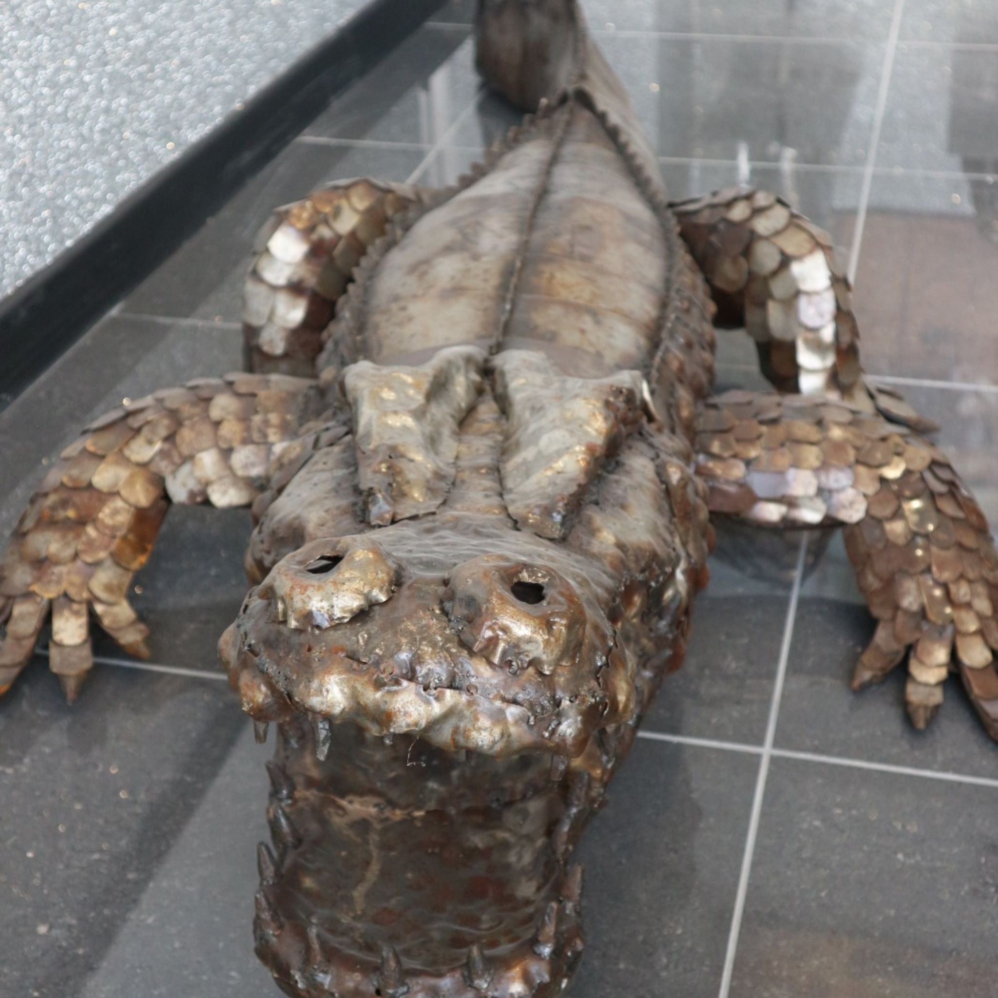 Natural Crocodile - Pangea Sculptures