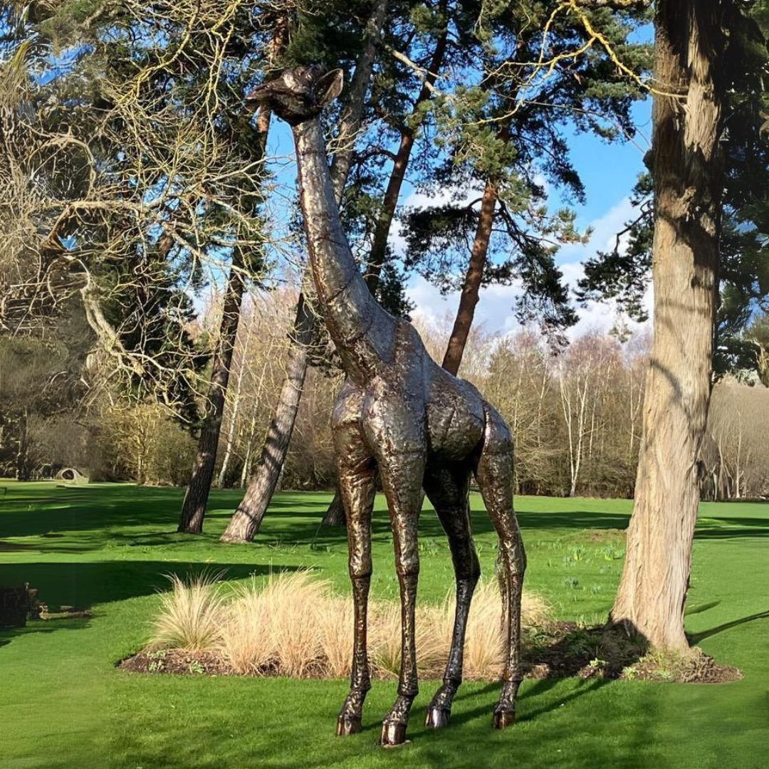 Natural Giraffe Metal Sculptures - Pangea Sculptures