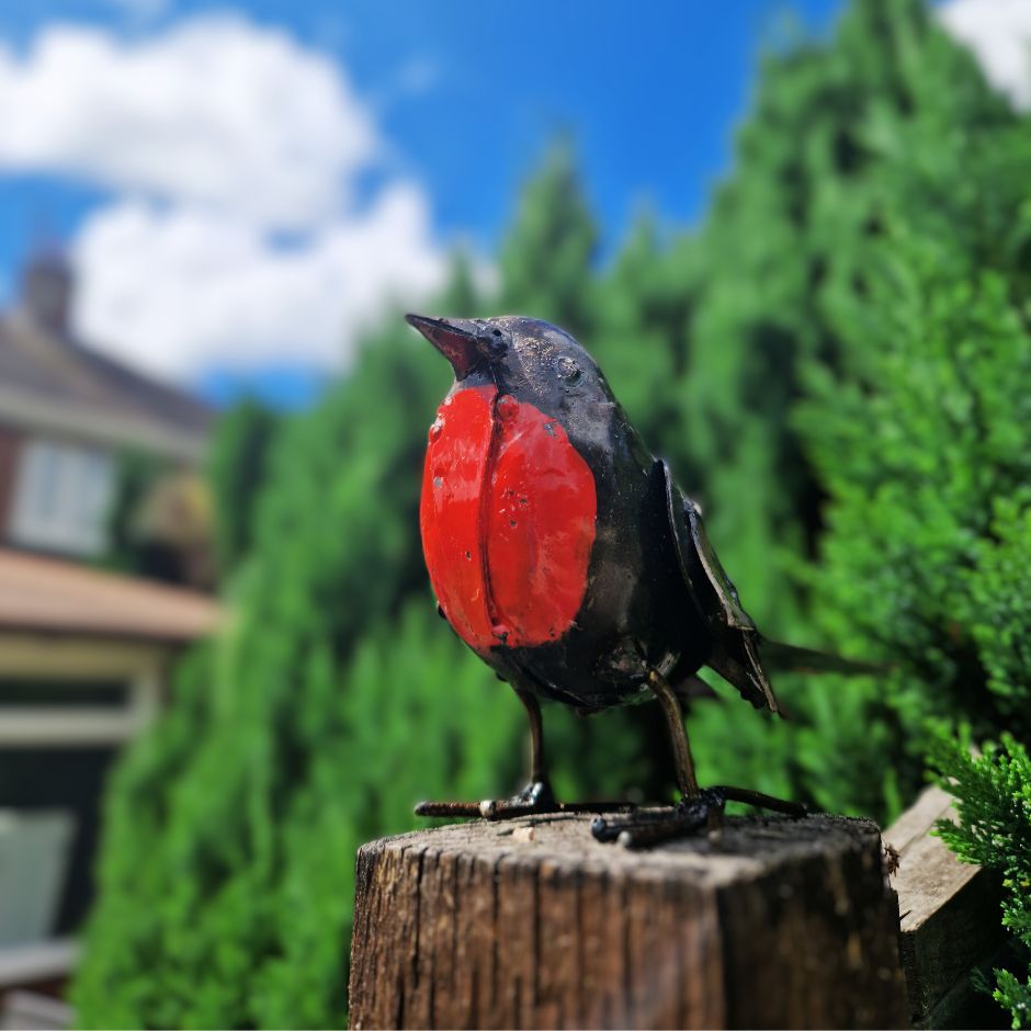Painted Robin Metal Sculpture