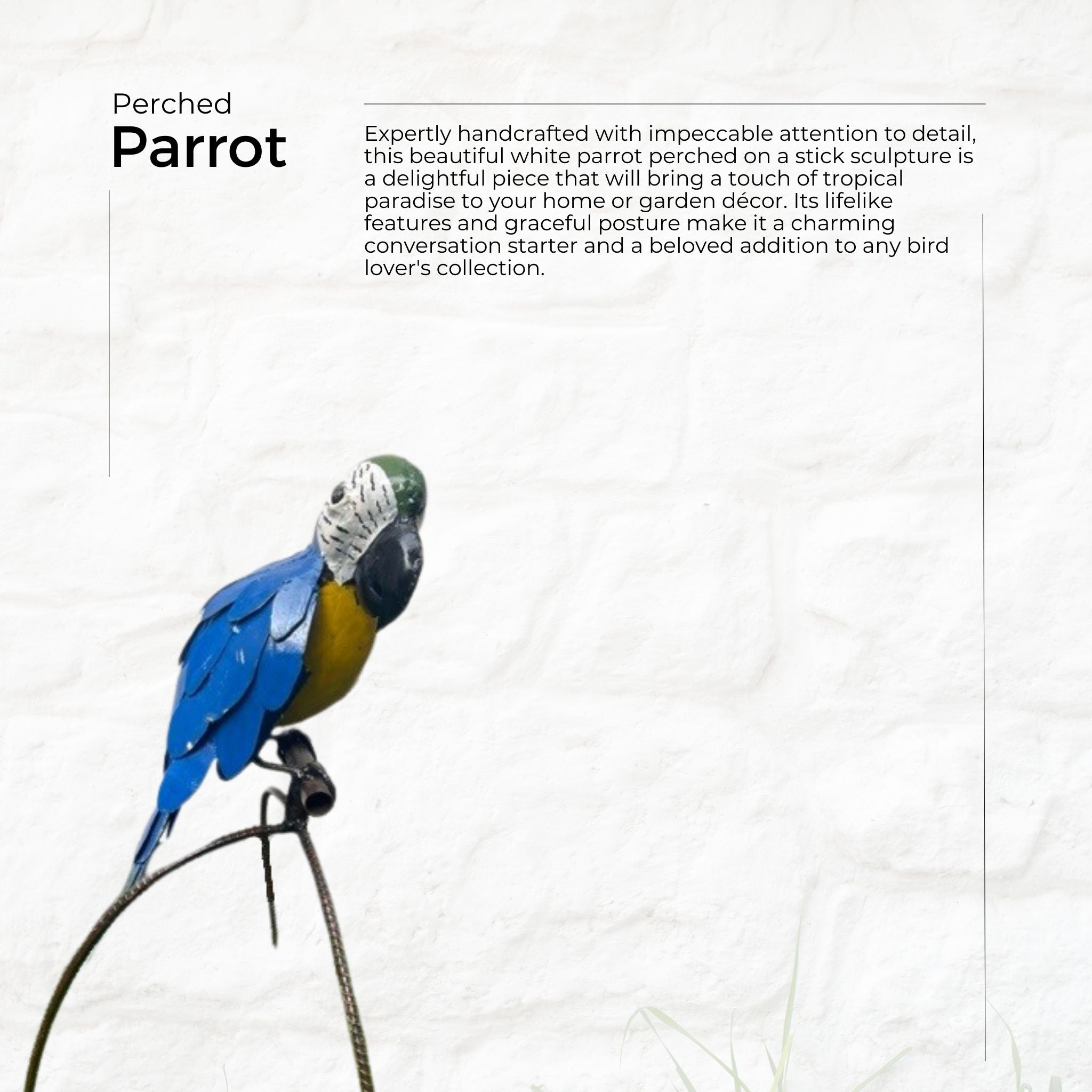 Perched Parrot - Pangea Sculptures