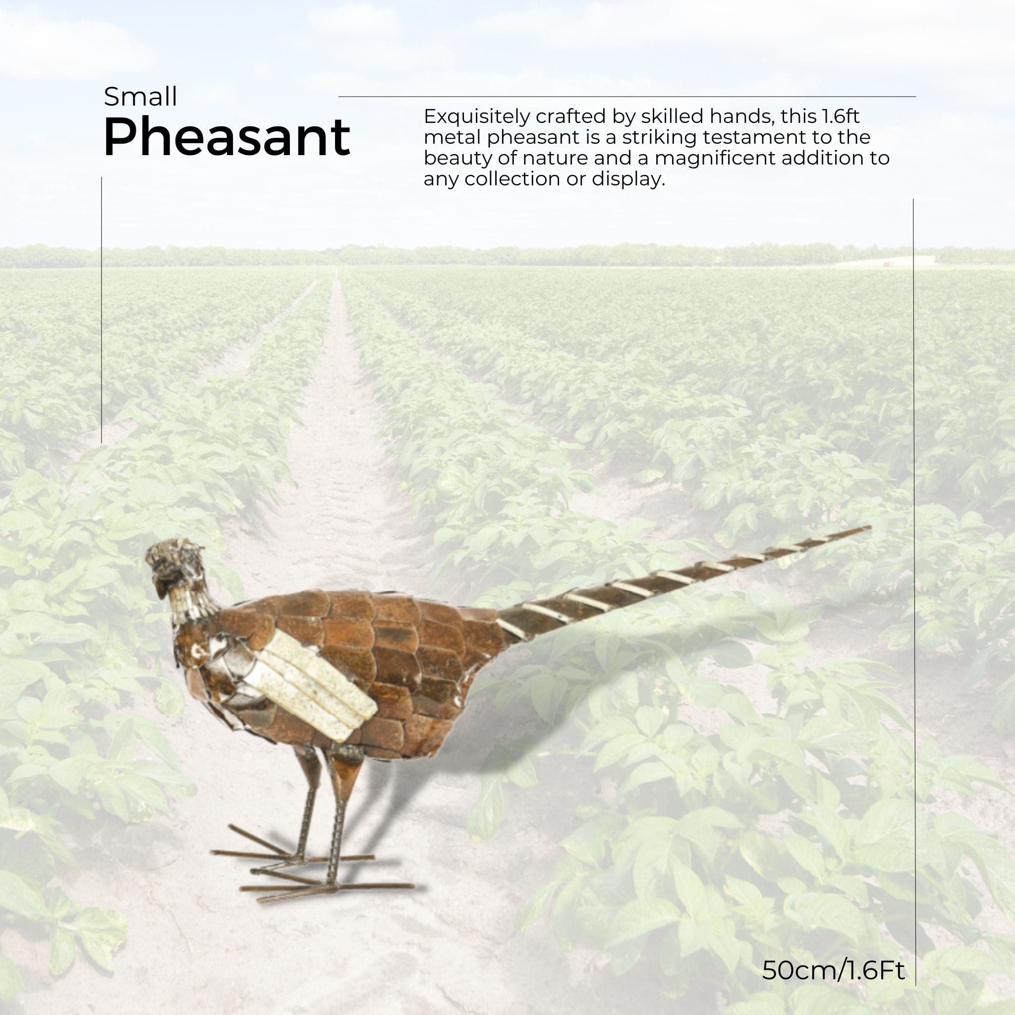 Pheasant - Pangea Sculptures